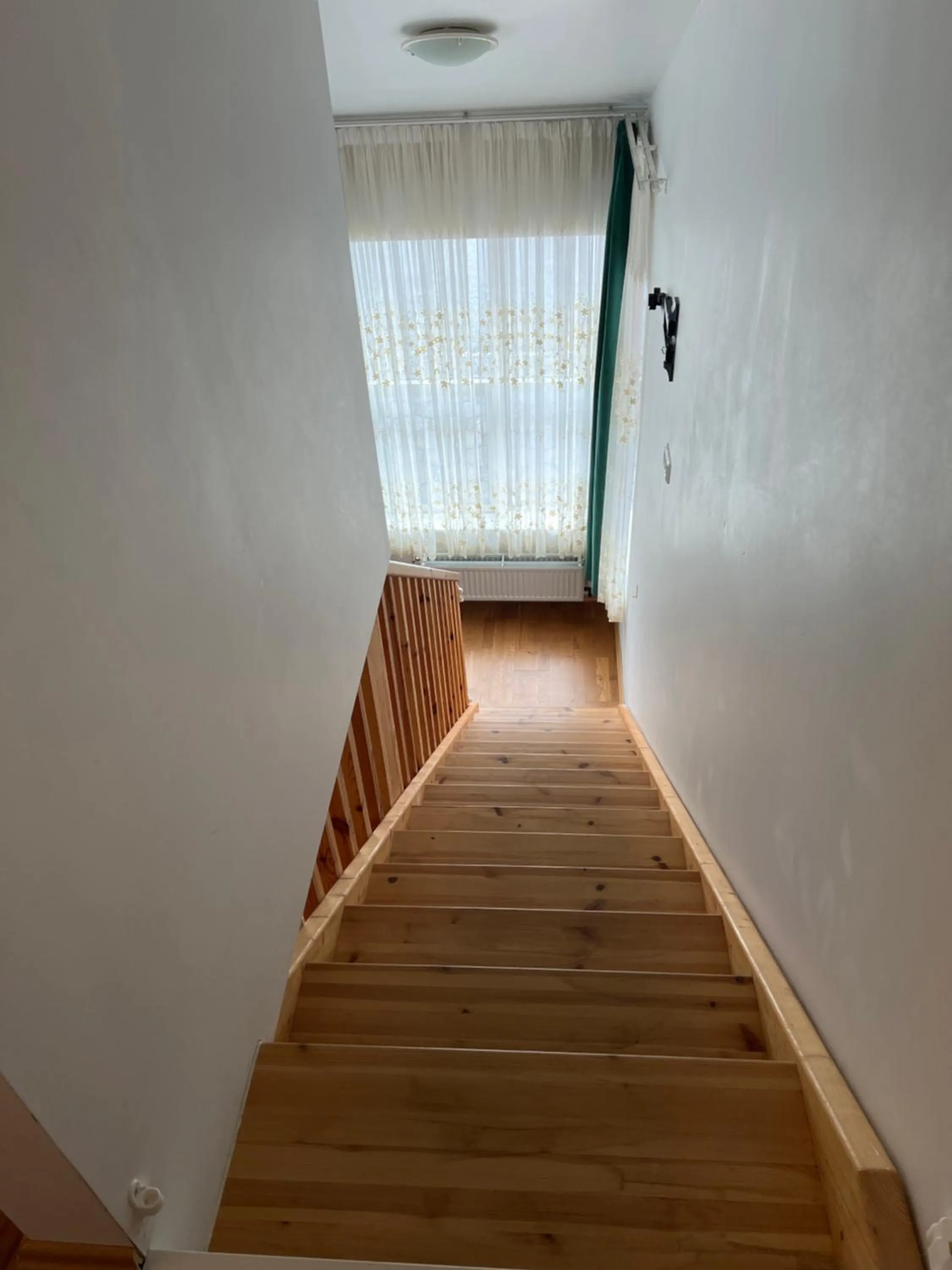 Media Luna Guesthouse