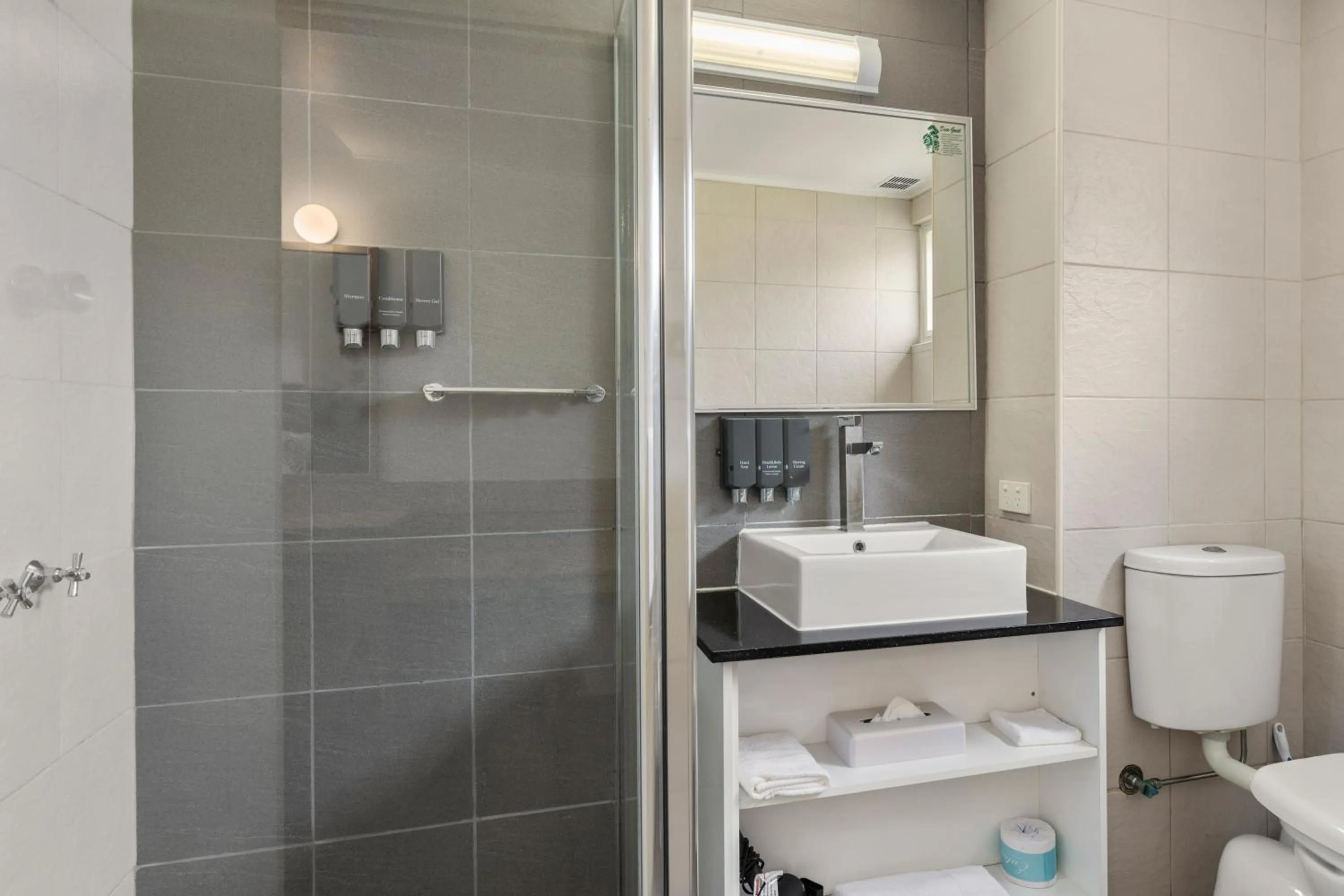 Bathroom in Zebra Motel