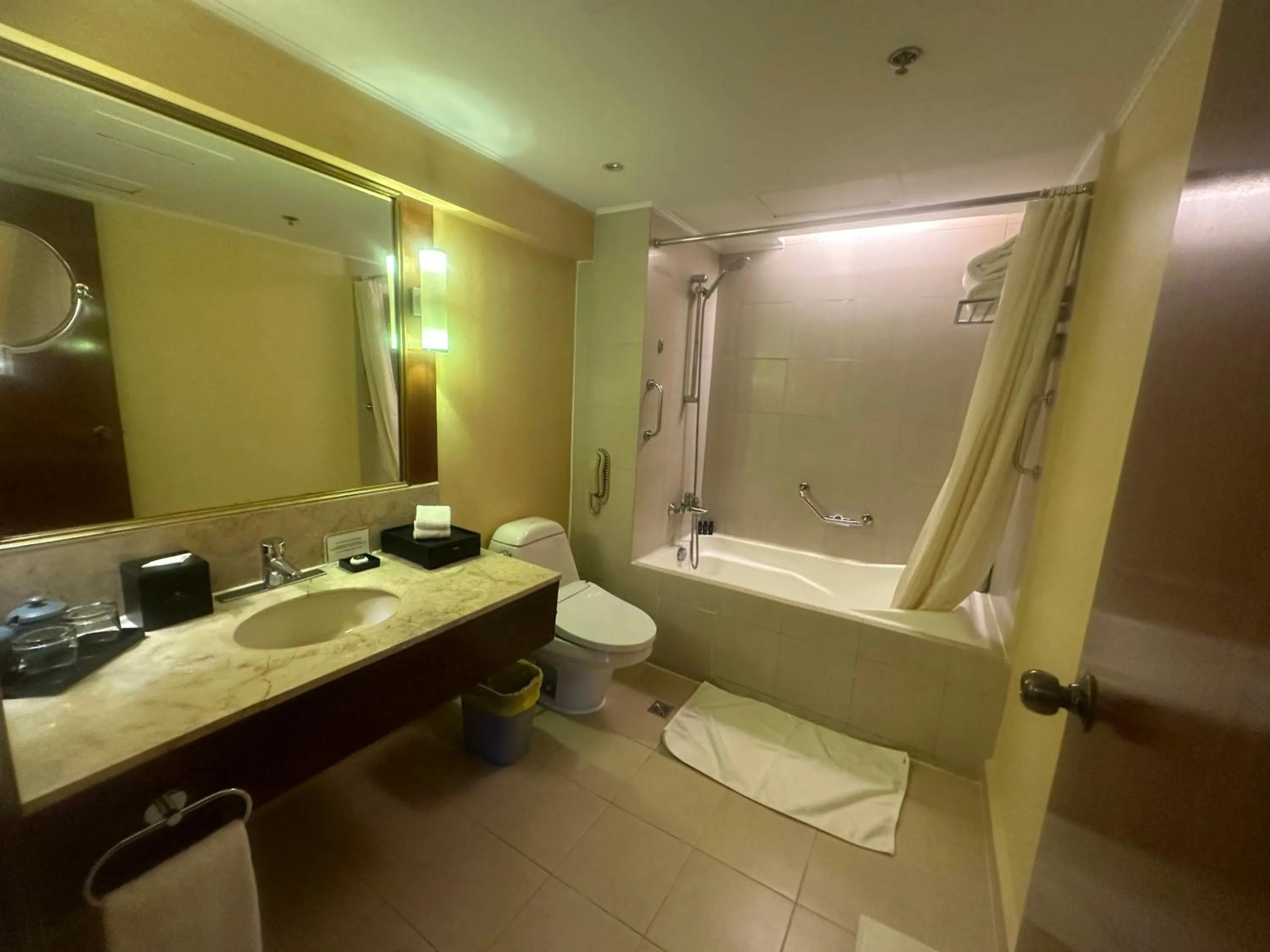 Bathroom in Marco Polo Plaza Cebu