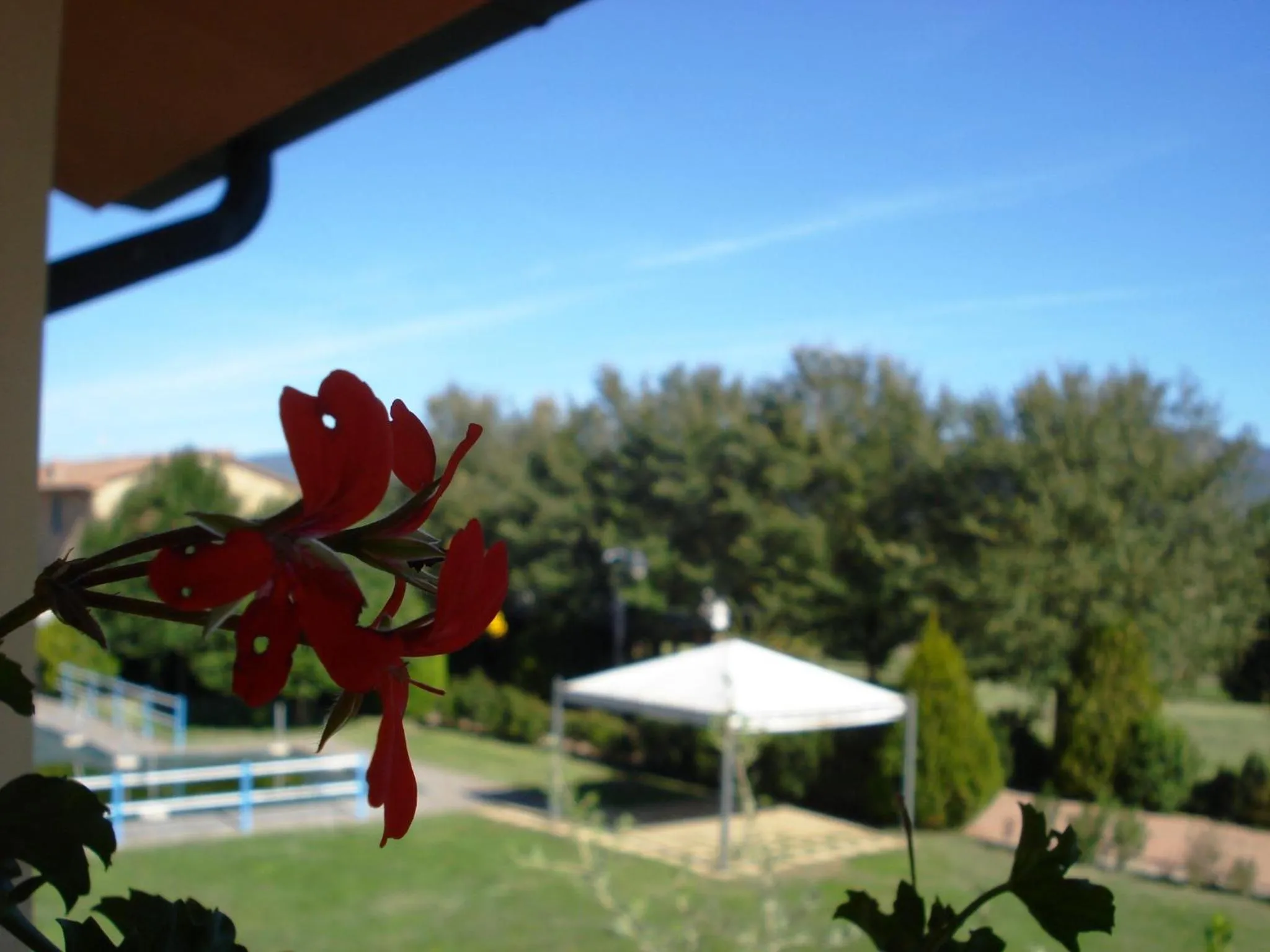 Decorative detail in Residence Serristori