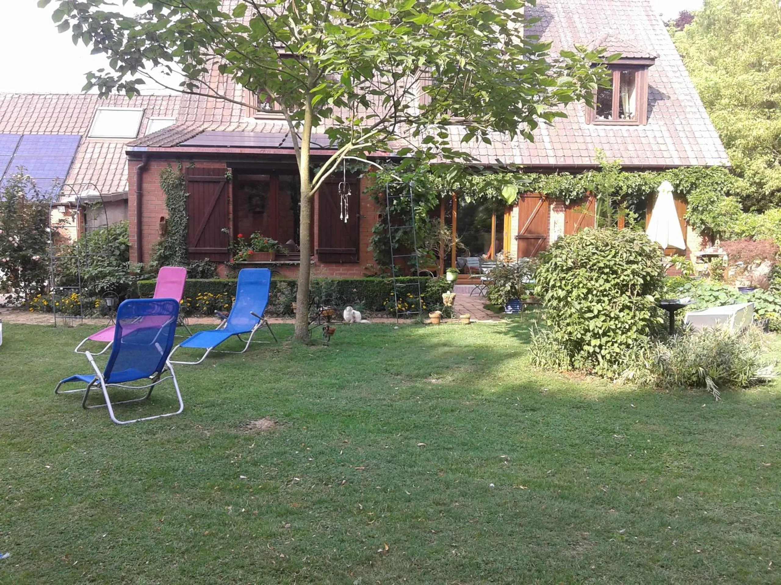 Summer in Chambre d'hôtes Élevage' chemin noir