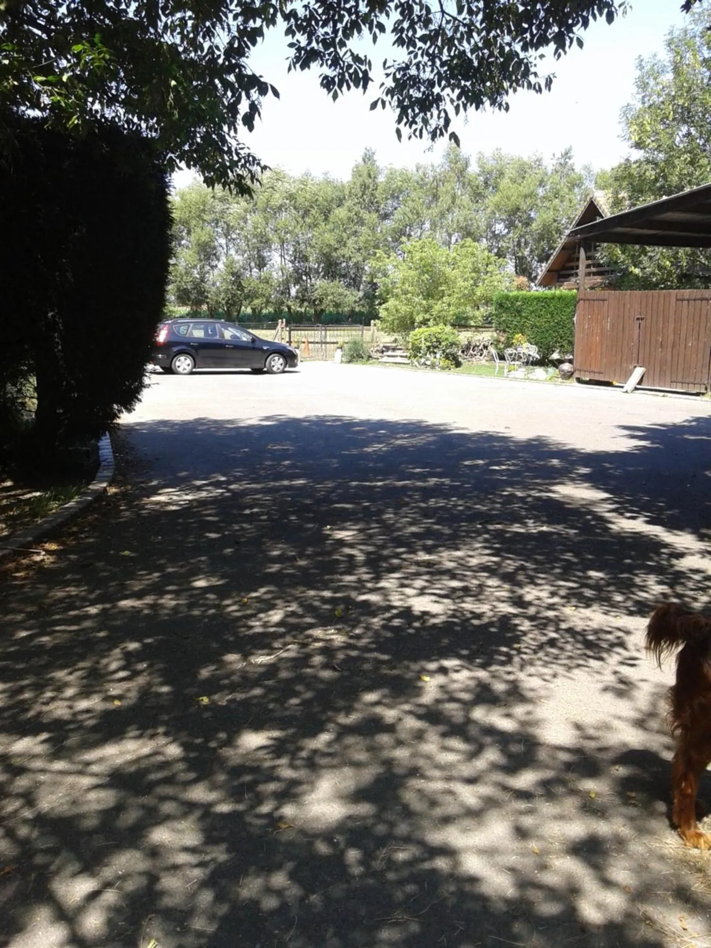 Day in Chambre d'hôtes Élevage' chemin noir