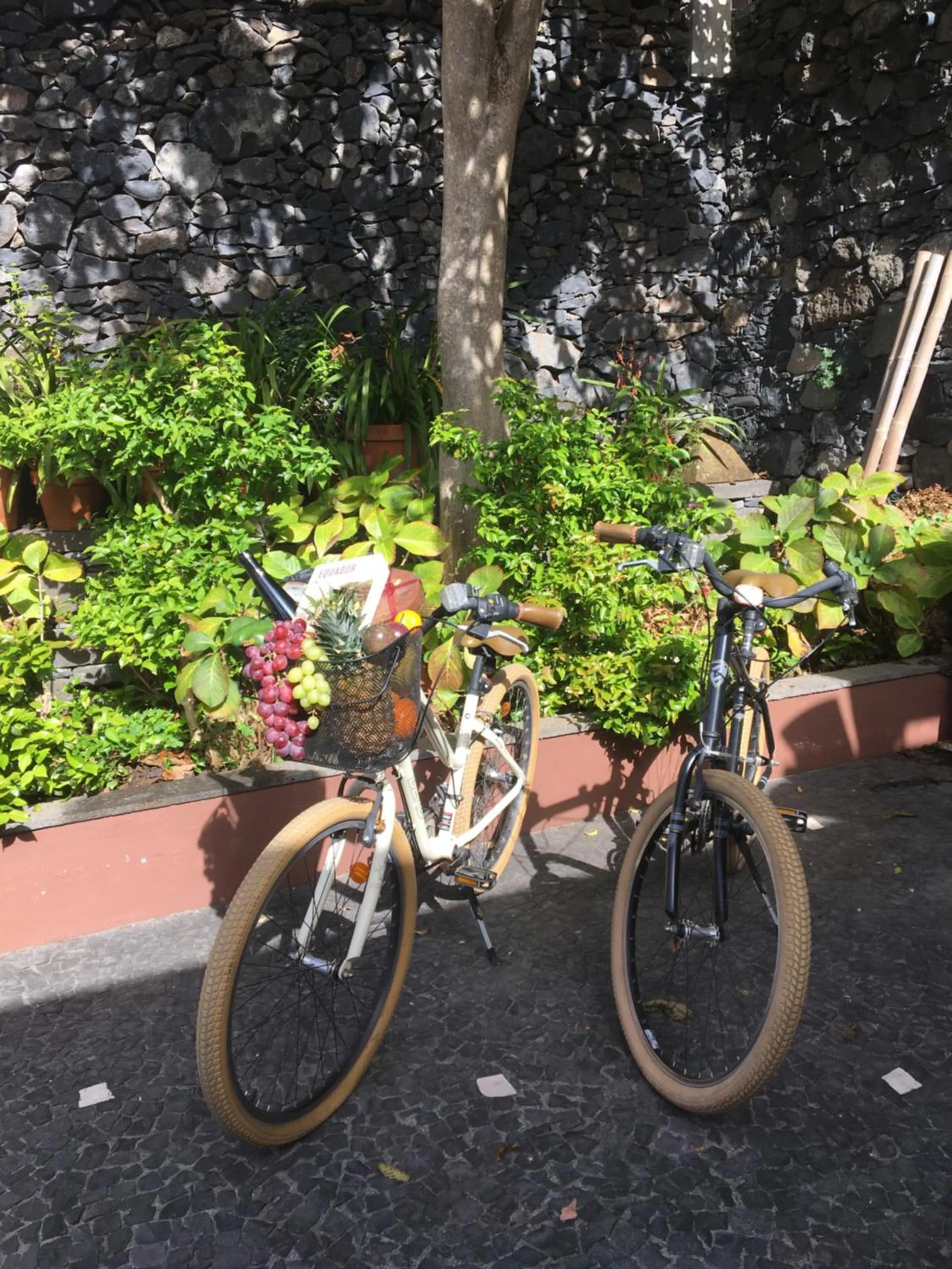 Cycling in Quinta Paços do Lago