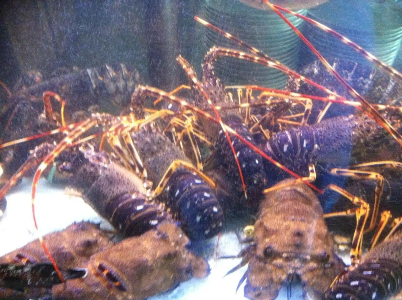 Restaurant/places to eat in Hotel Ristorante Termitito