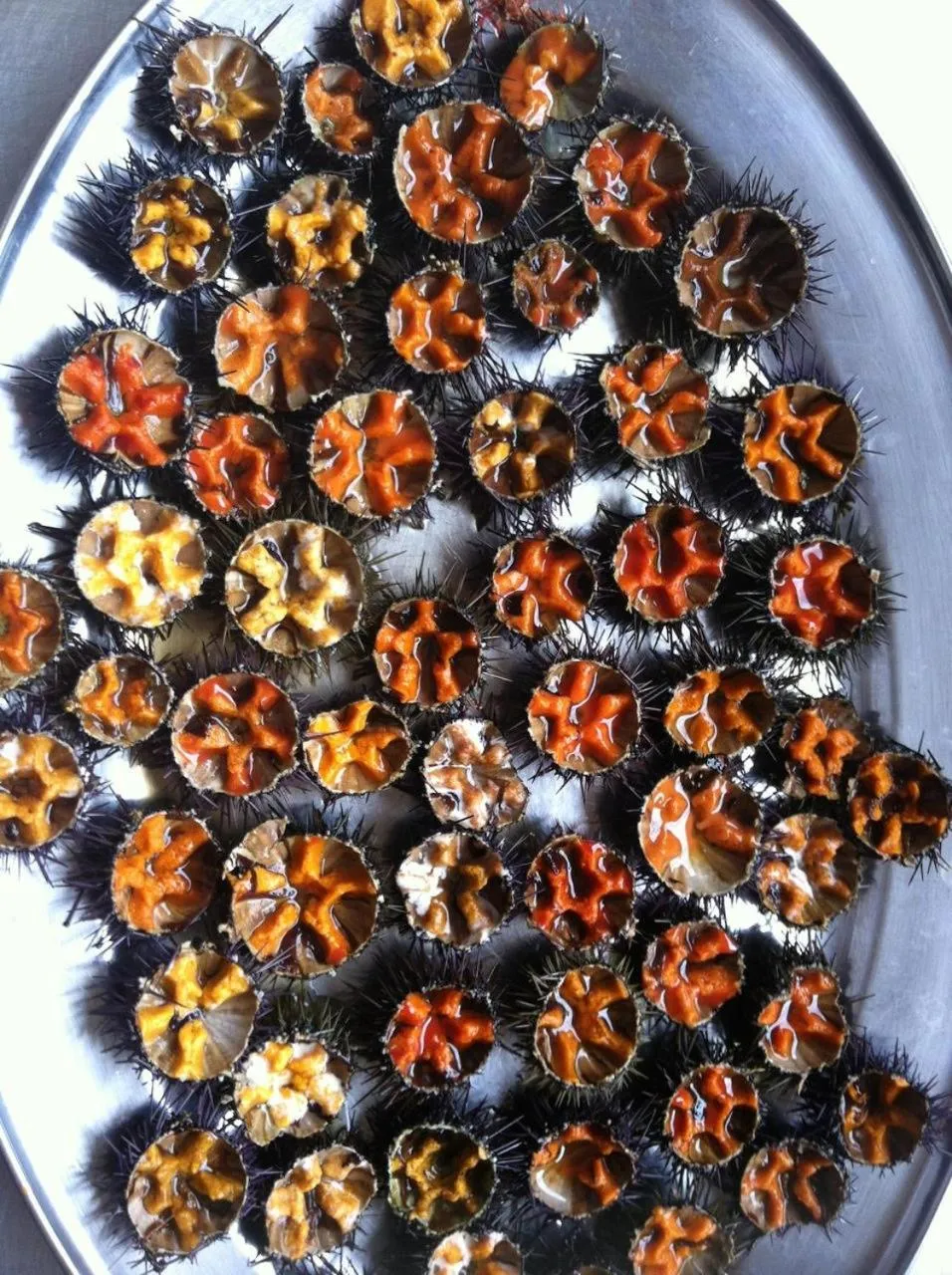 Restaurant/places to eat in Hotel Ristorante Termitito