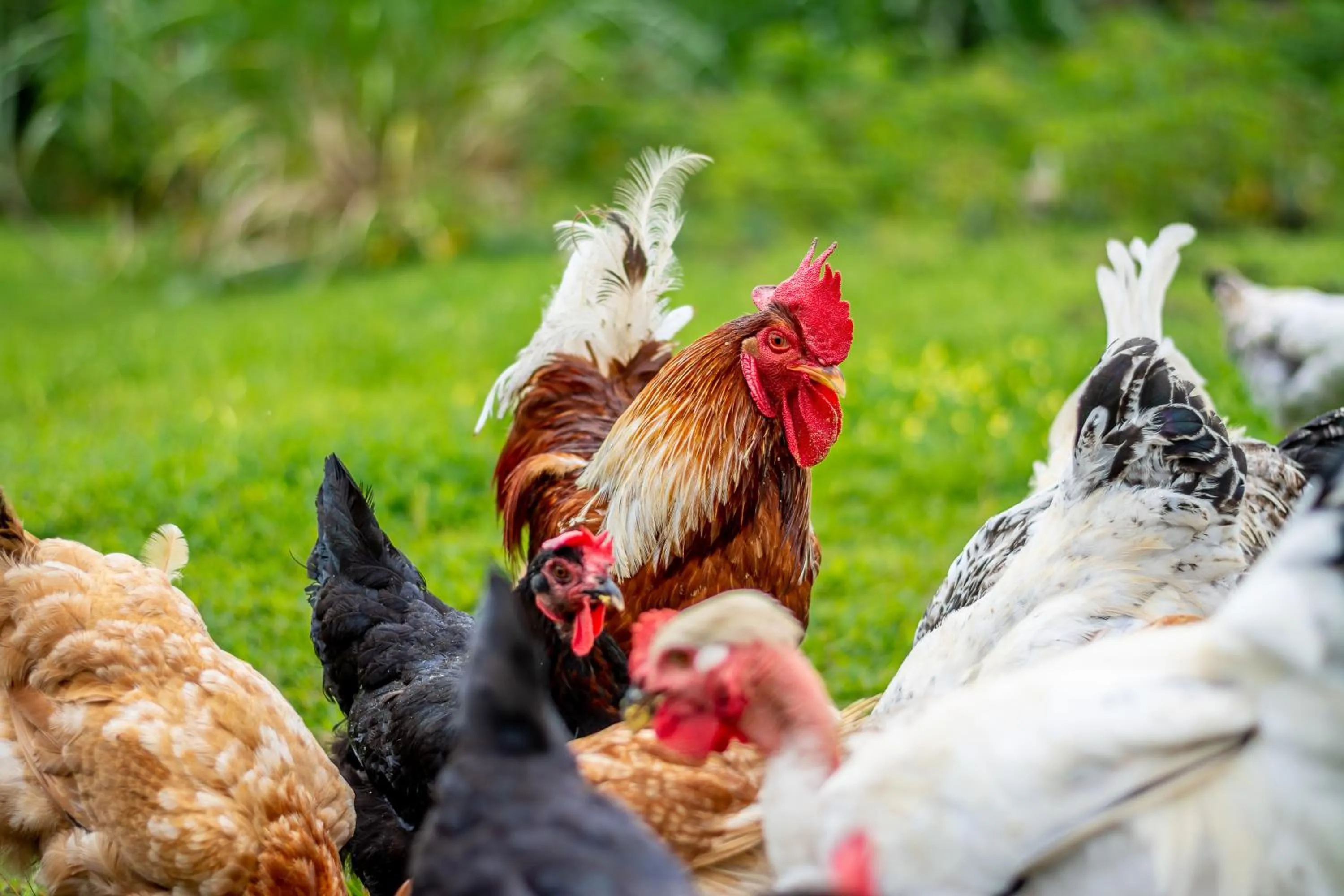 Property building in Aunty Arenal Lodge