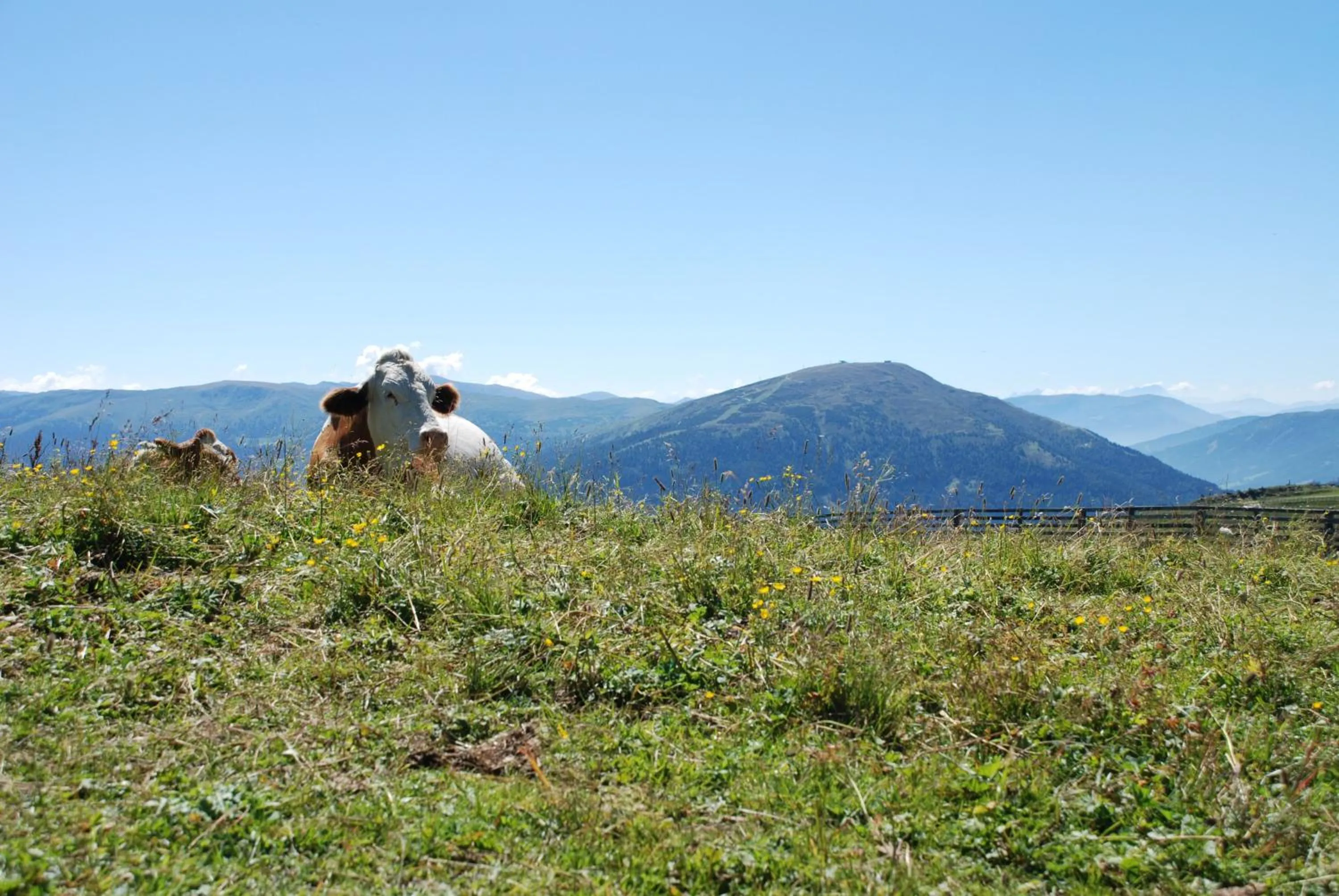 Natural landscape in Hotel Zum Granitzl