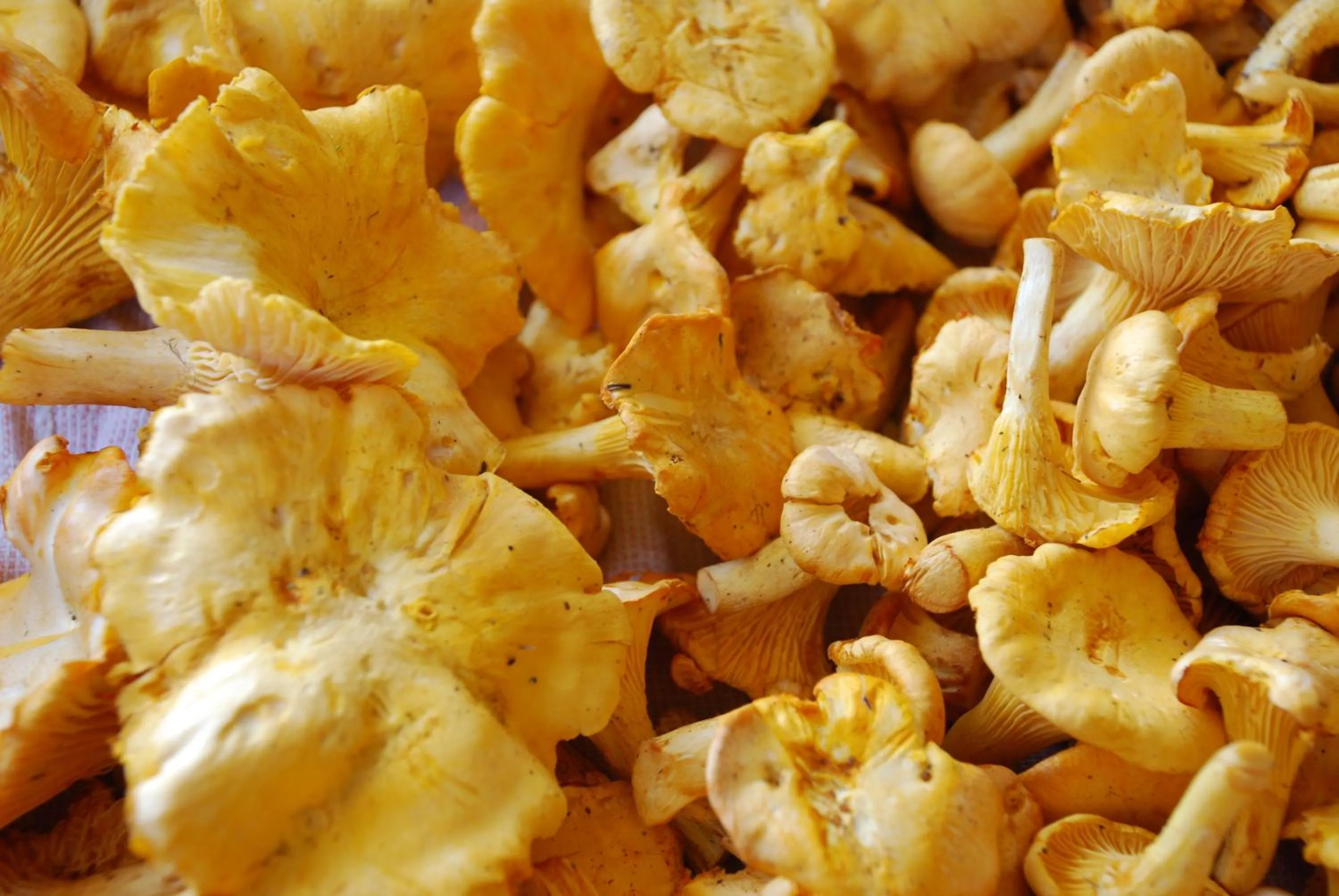 Activities in Hotel Zum Granitzl