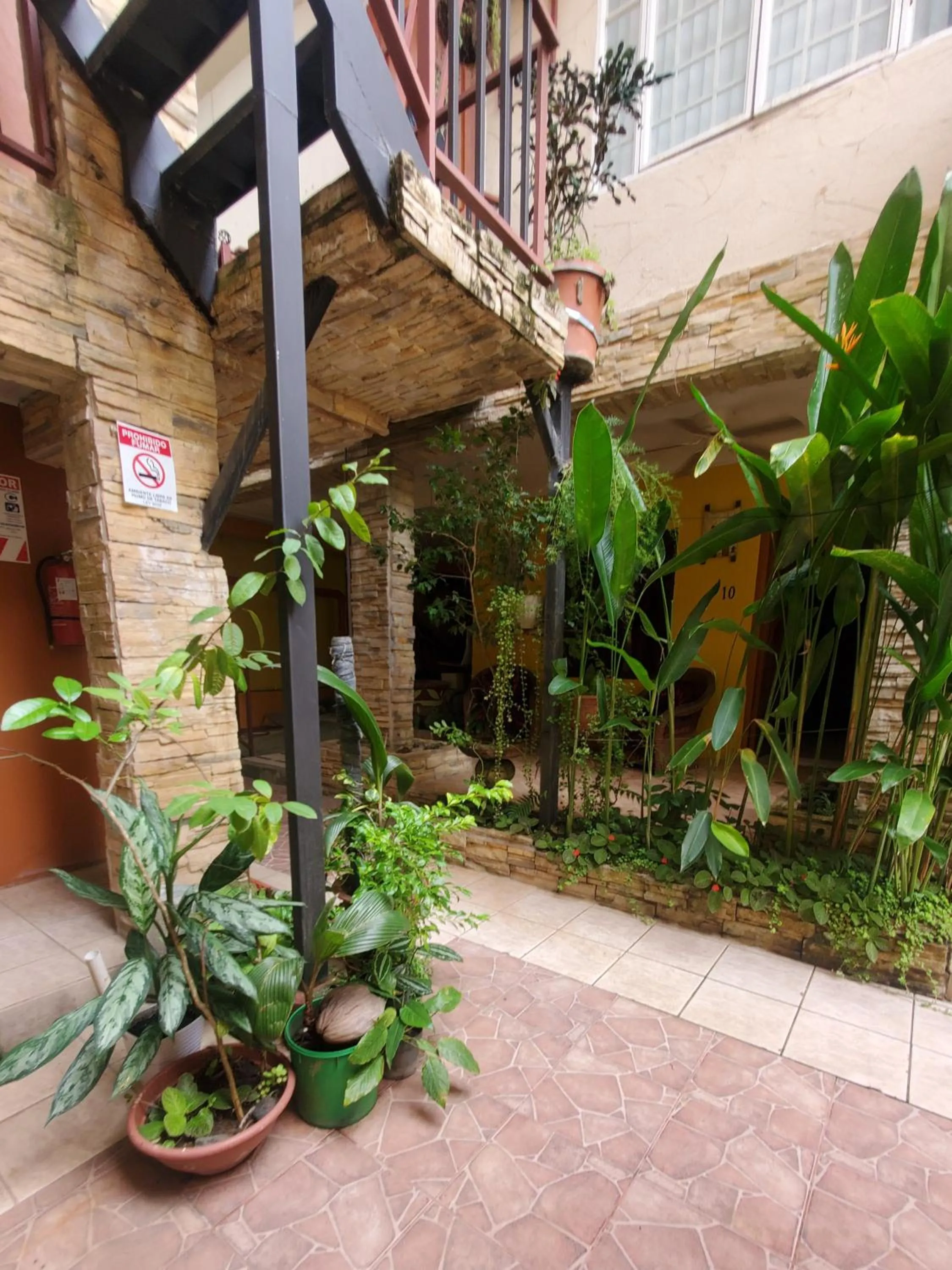 Garden in Hotel Villa Prats