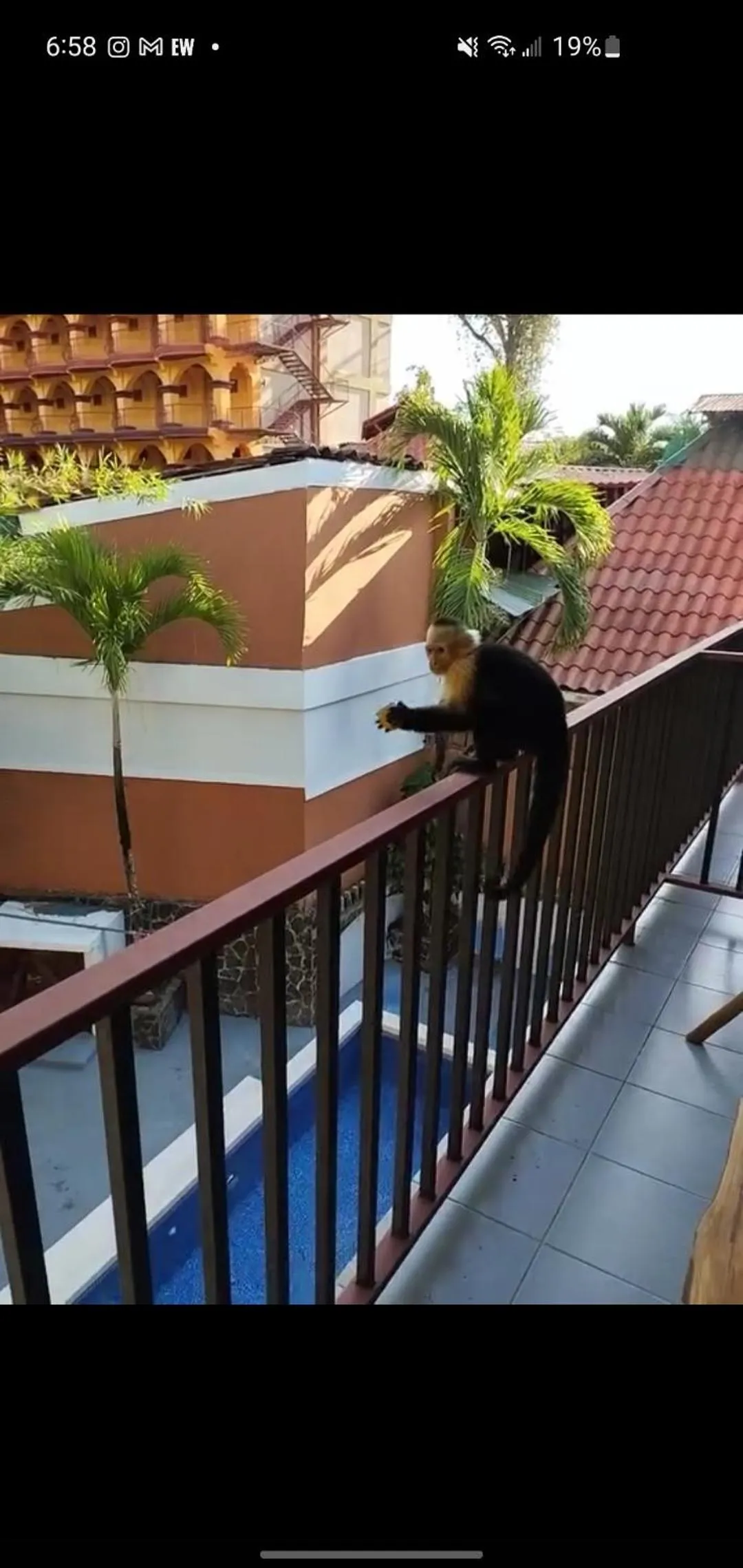 Economy Quadruple Room in Hotel Villa Prats