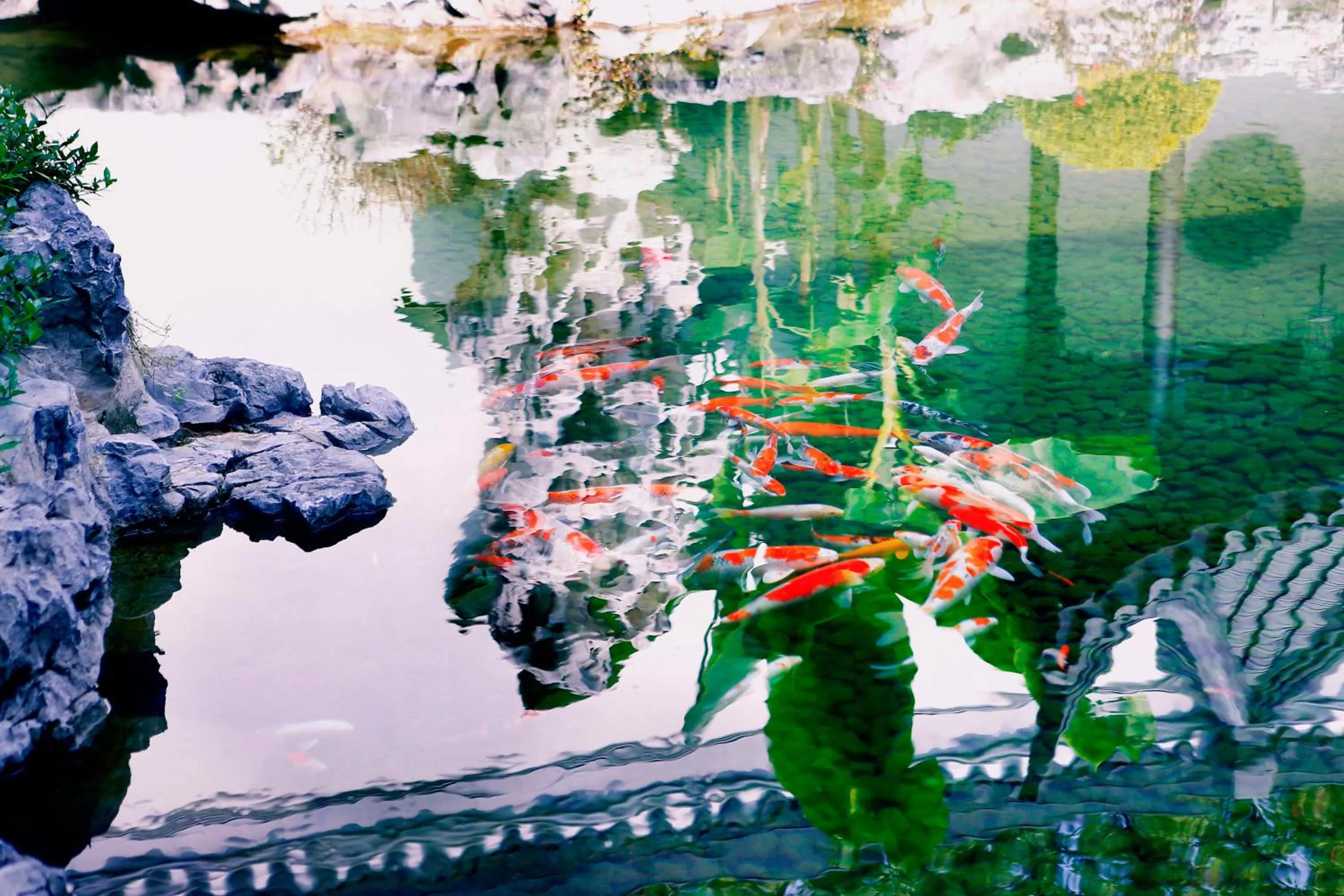 Property building in Hong Qiao State Guest House