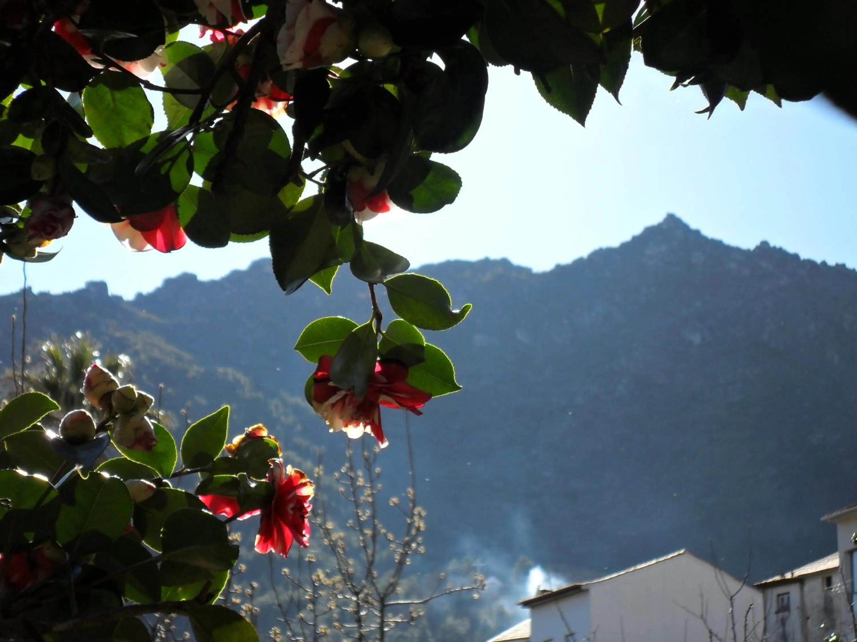 Natural landscape in Casa Das Obras
