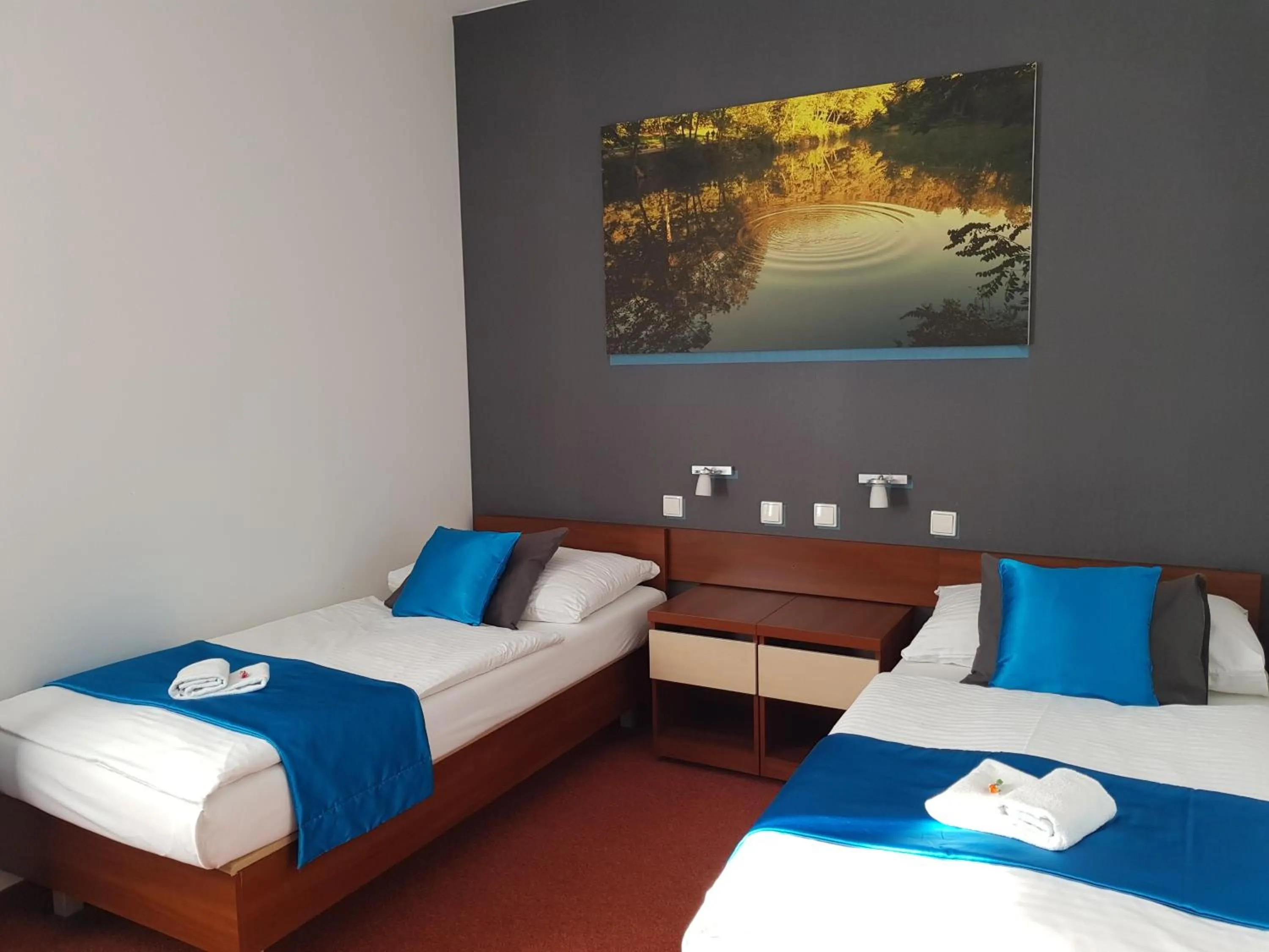 Photo of the whole room, Bed in Hotel Color