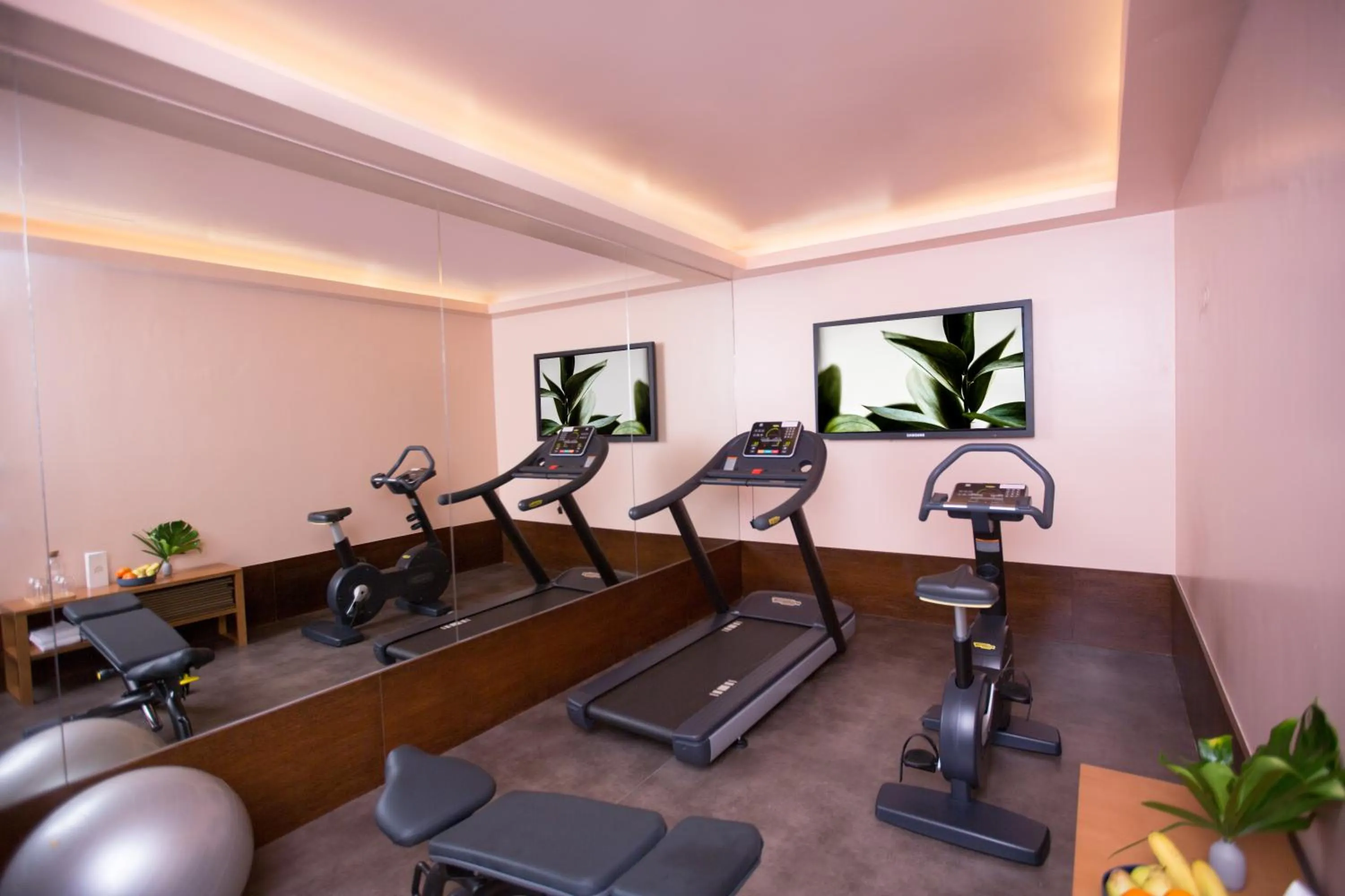 Fitness centre/facilities in The Vintage Hotel & Spa Lisbon