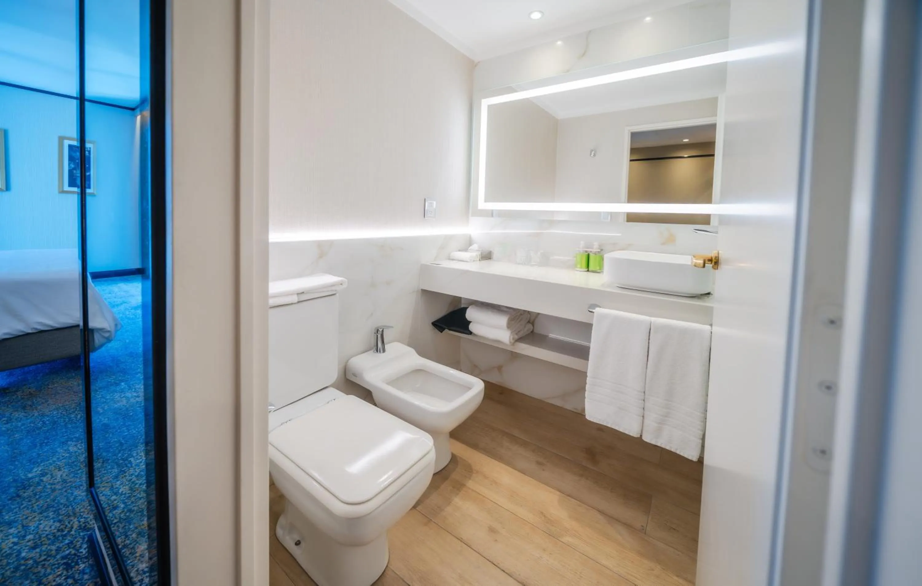 Bathroom in Holiday Inn Rosario by IHG