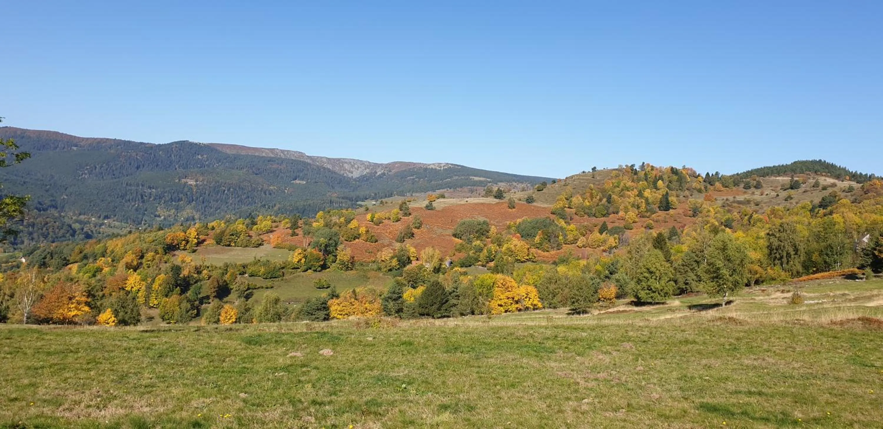 Natural landscape in Hôtel Deybach
