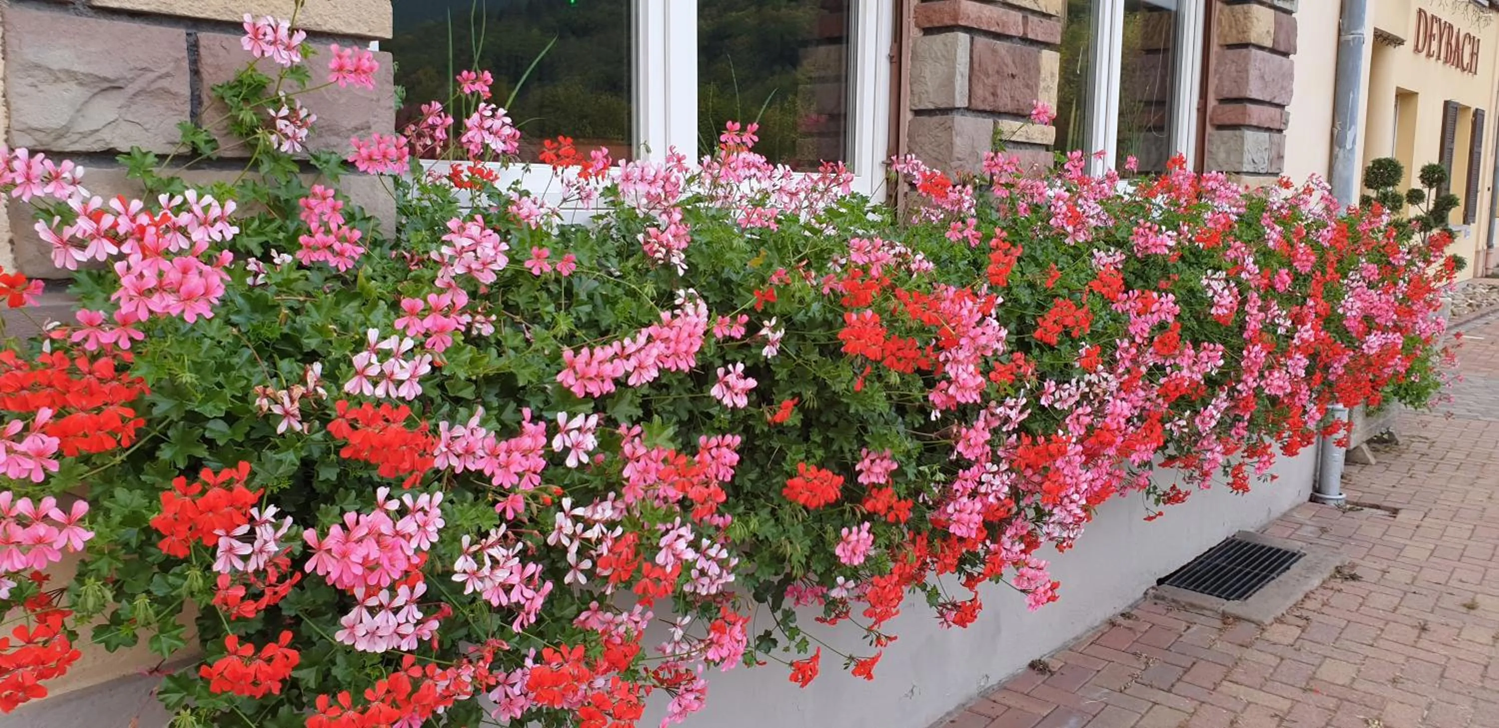 Facade/entrance in Hôtel Deybach