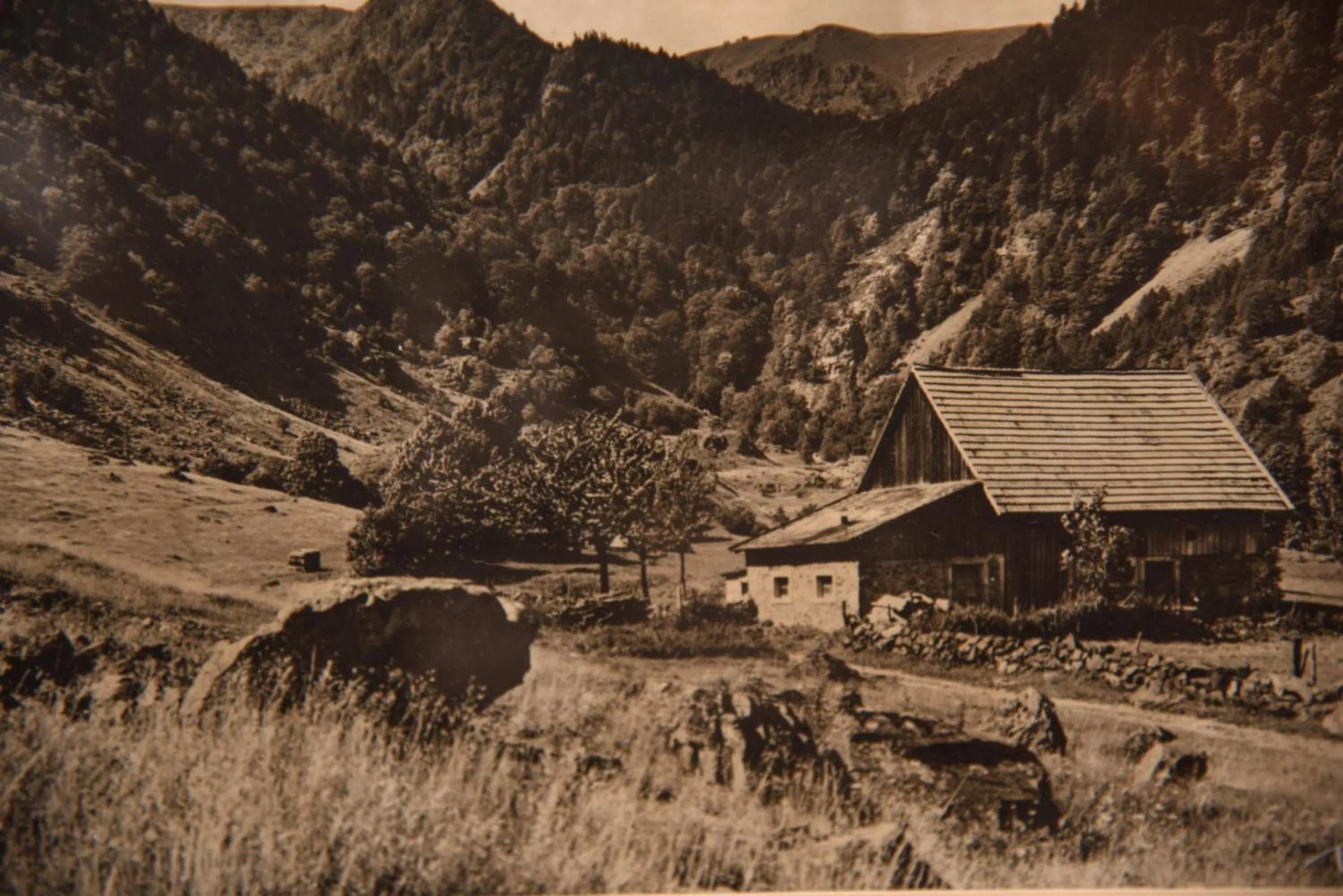 Natural landscape in Hôtel Deybach