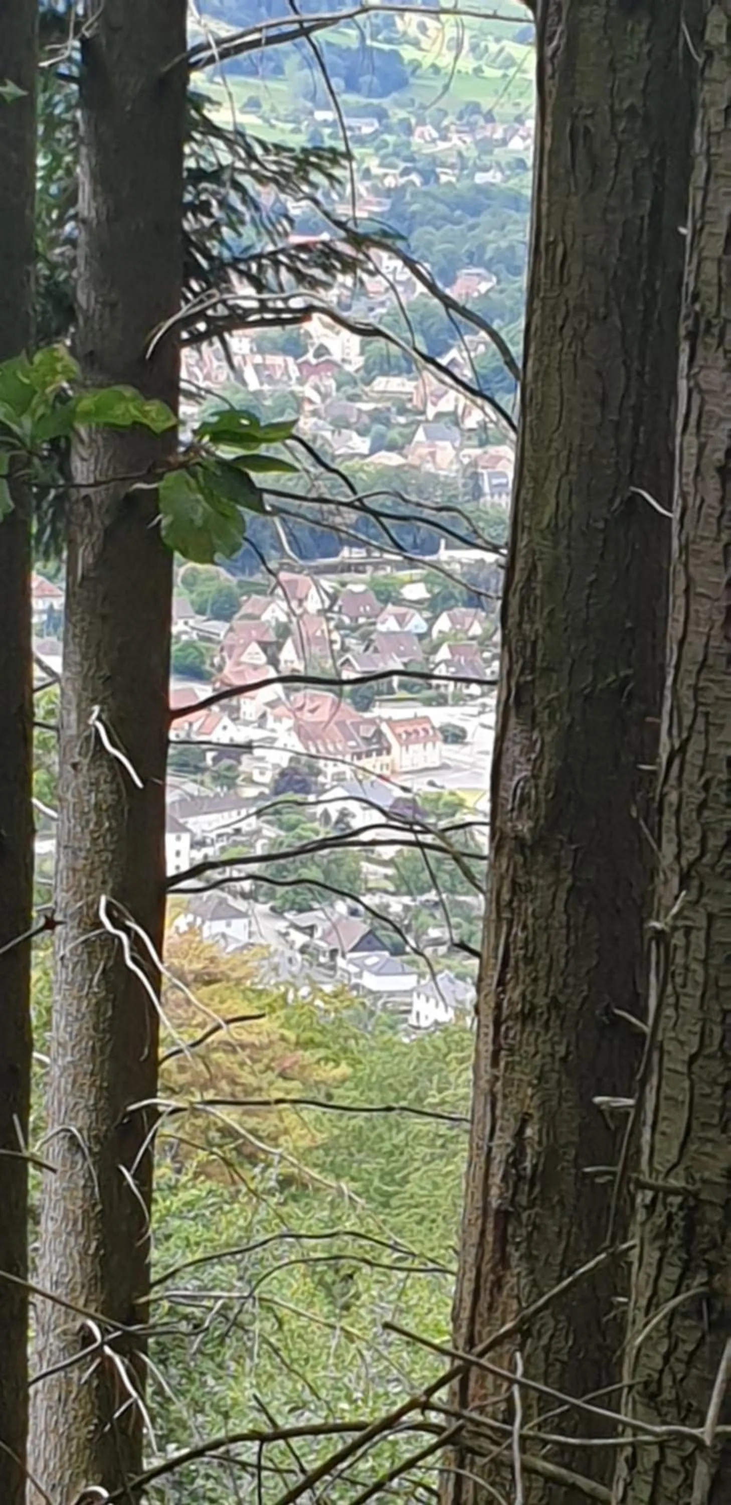 View (from property/room) in Hôtel Deybach