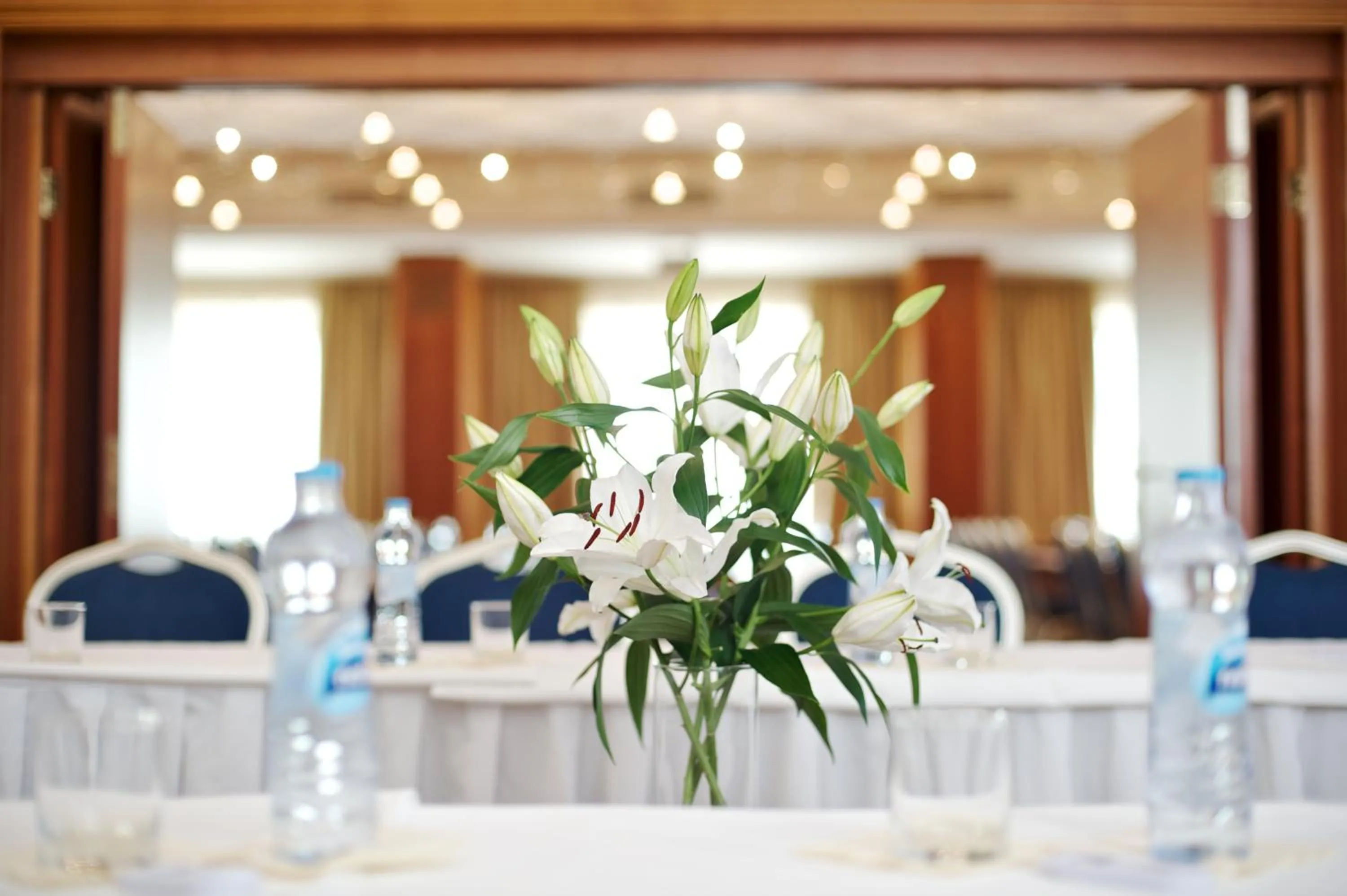 Business facilities in Hotel Devín