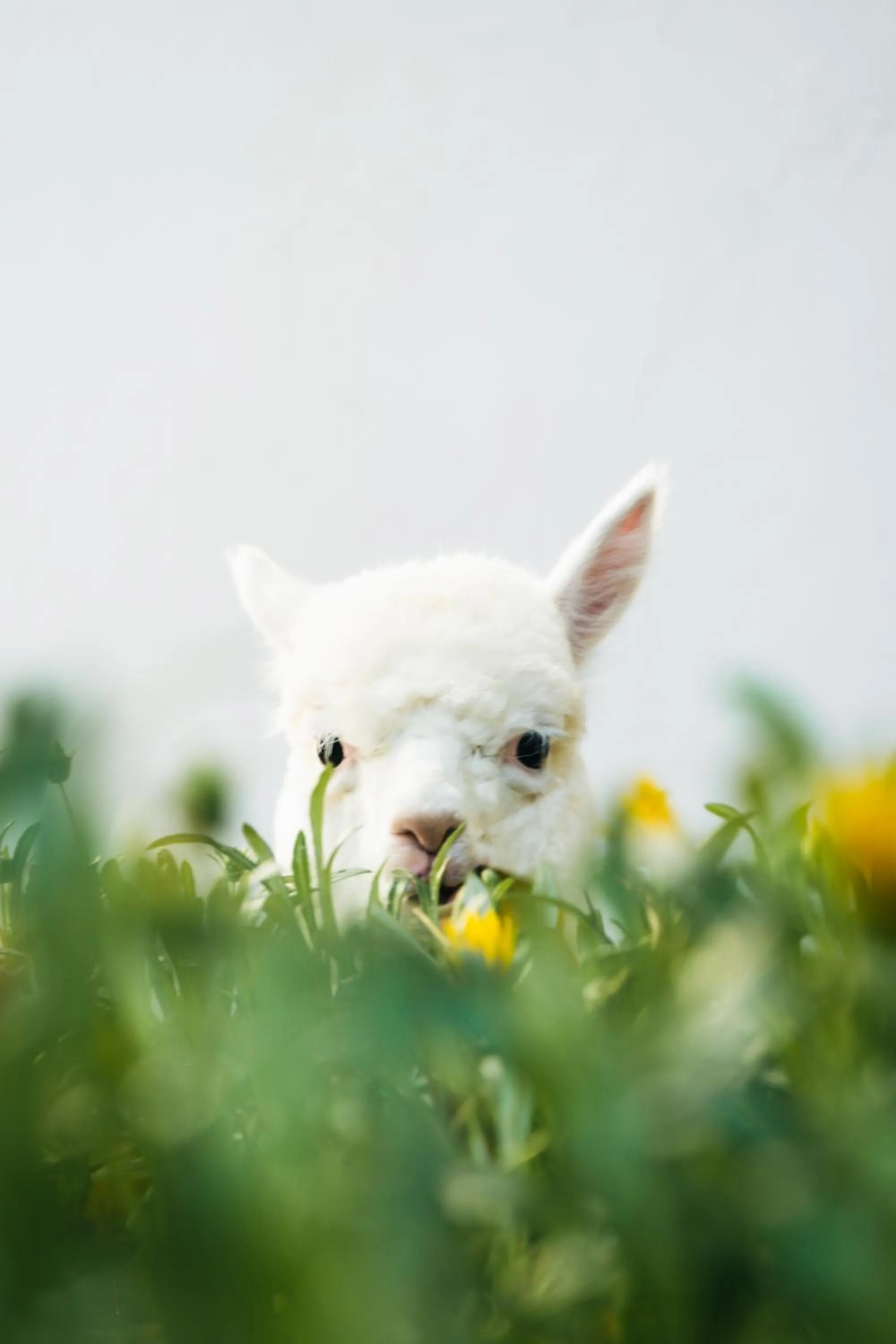 Activities in Casa Andina Premium Cusco