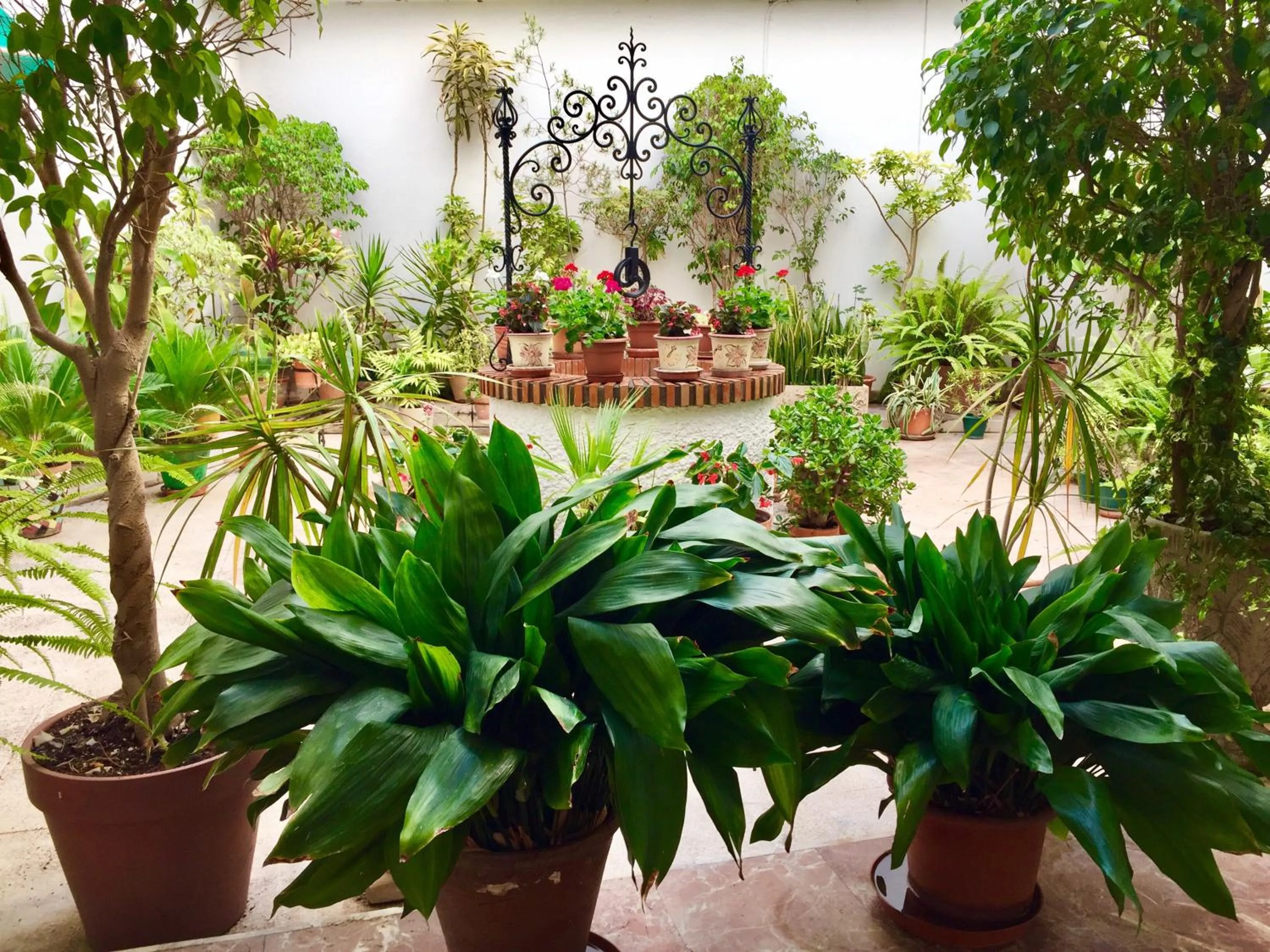 SolRoom (plz. La Nogalera)