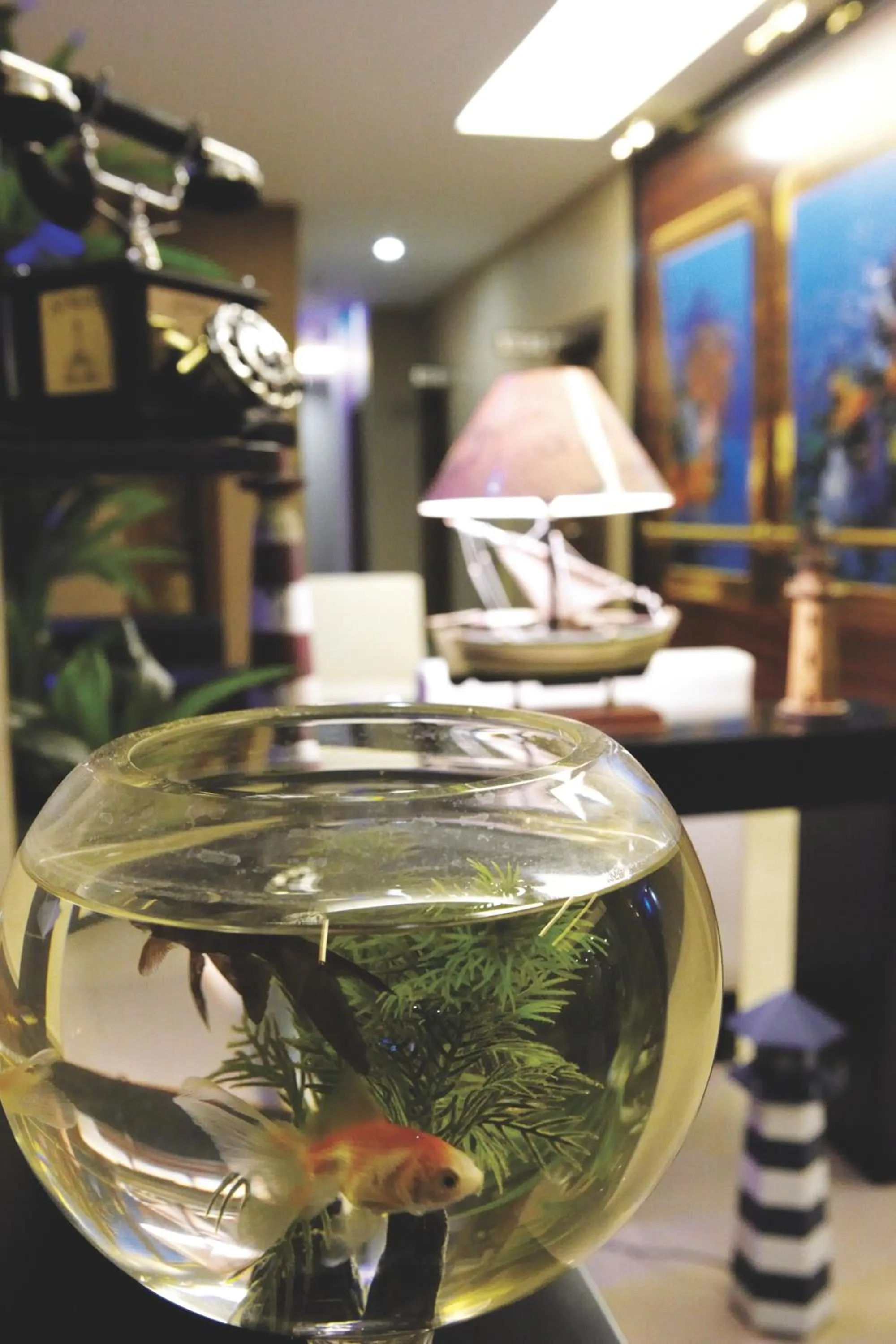 Other in Susuzlu Hotel