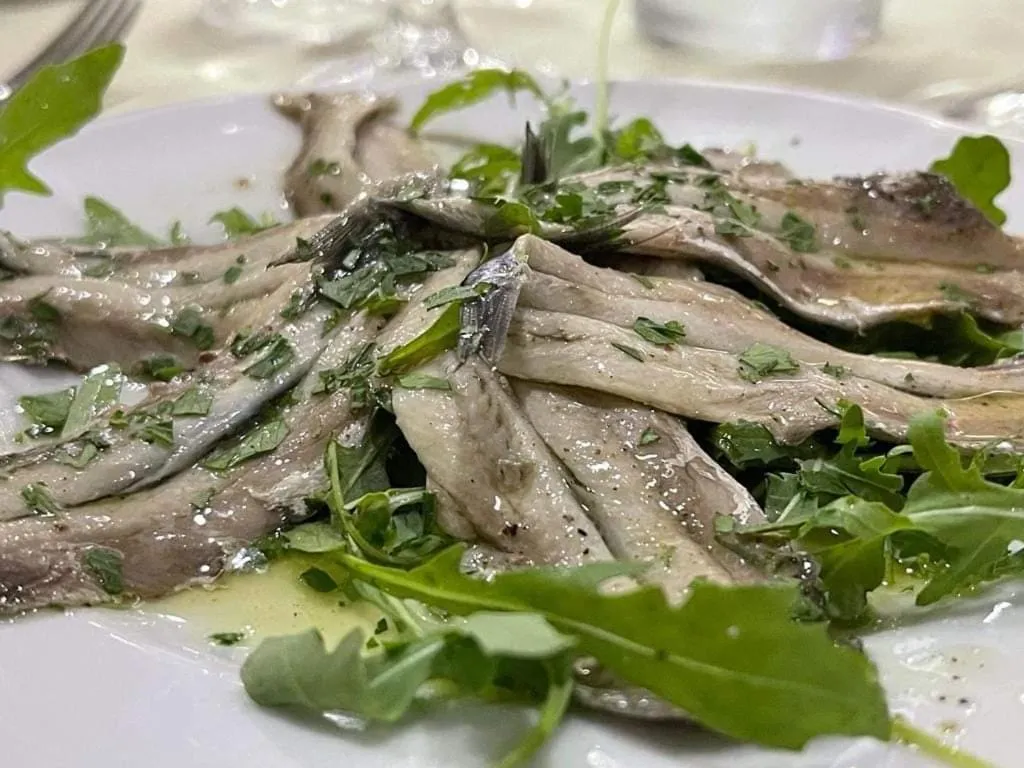 Maxola's Dream Orikum