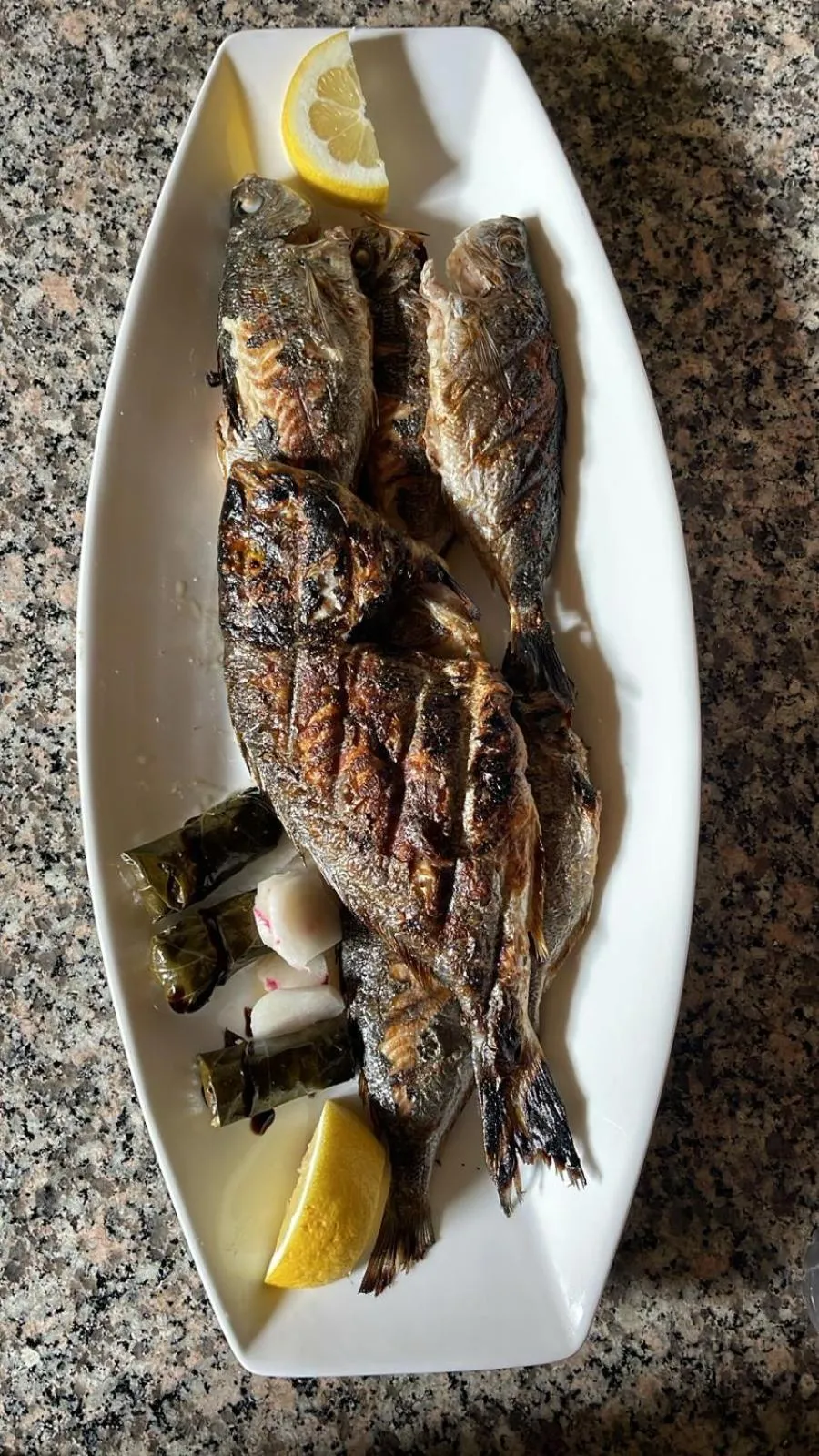 Maxola's Dream Orikum