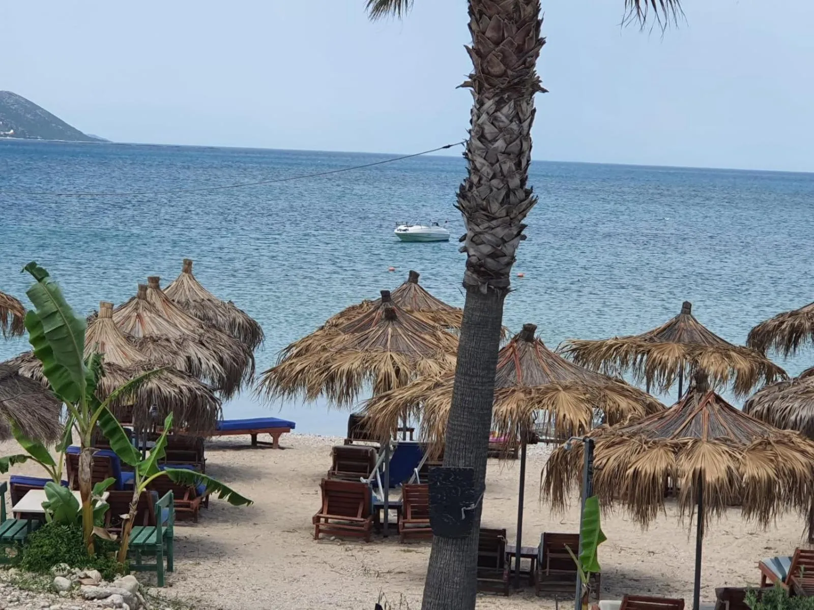 Maxola's Dream Orikum