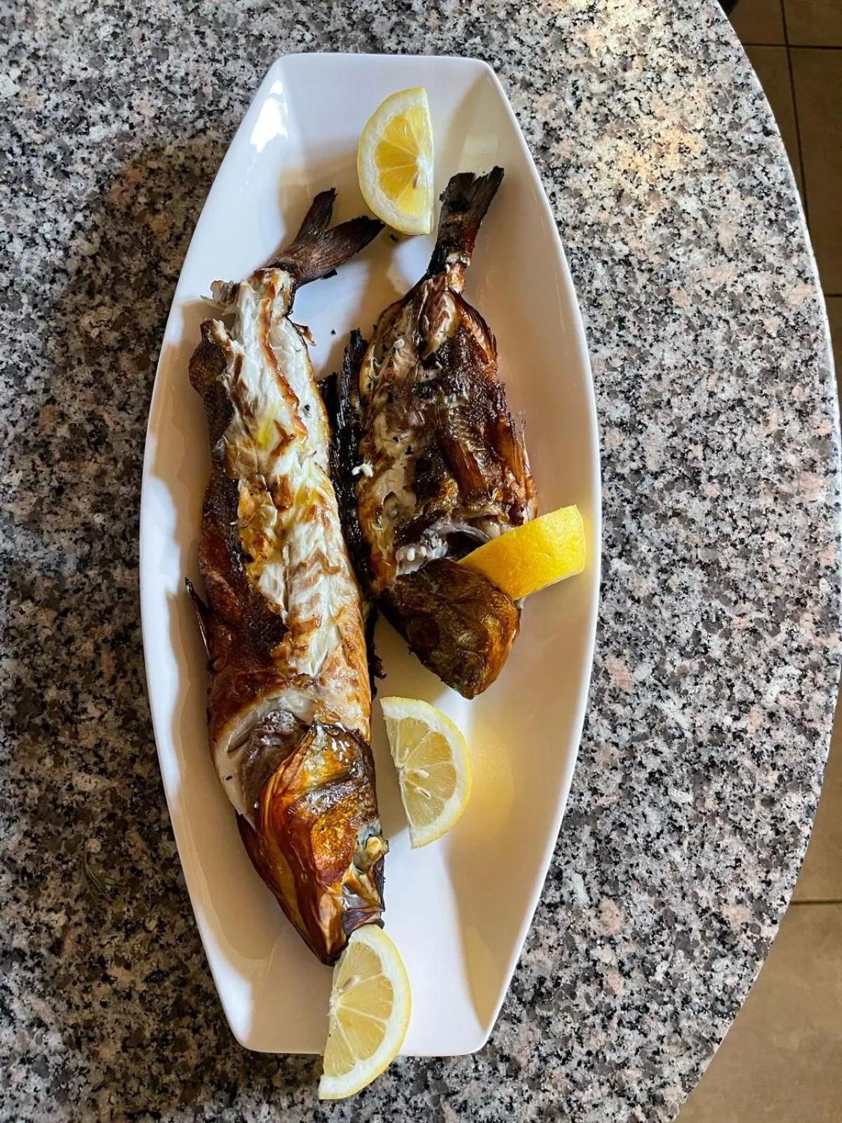 Maxola's Dream Orikum