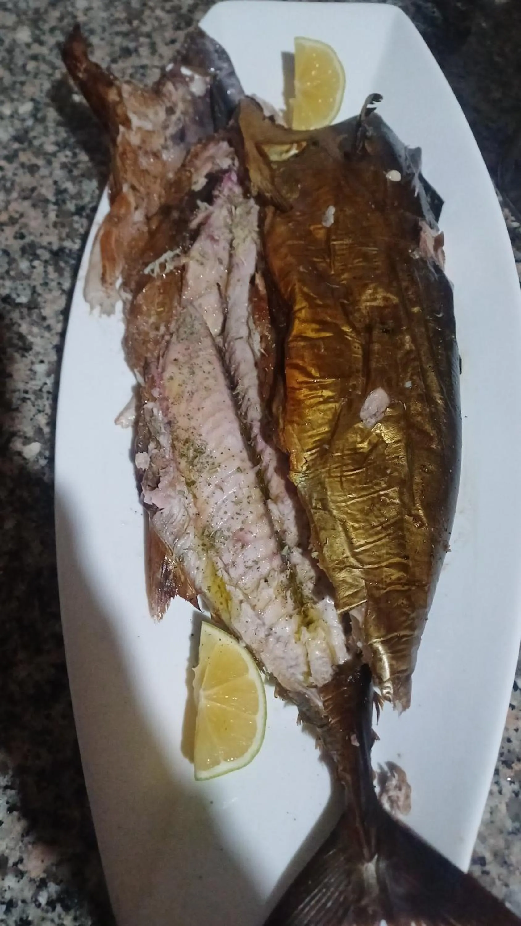 Maxola's Dream Orikum