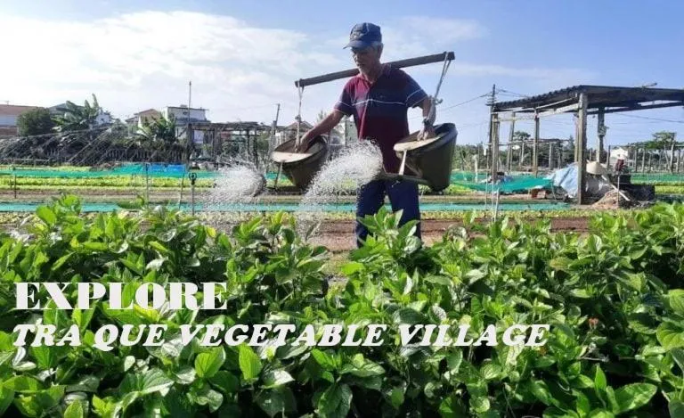 Activities in The Quin Riverside Villa