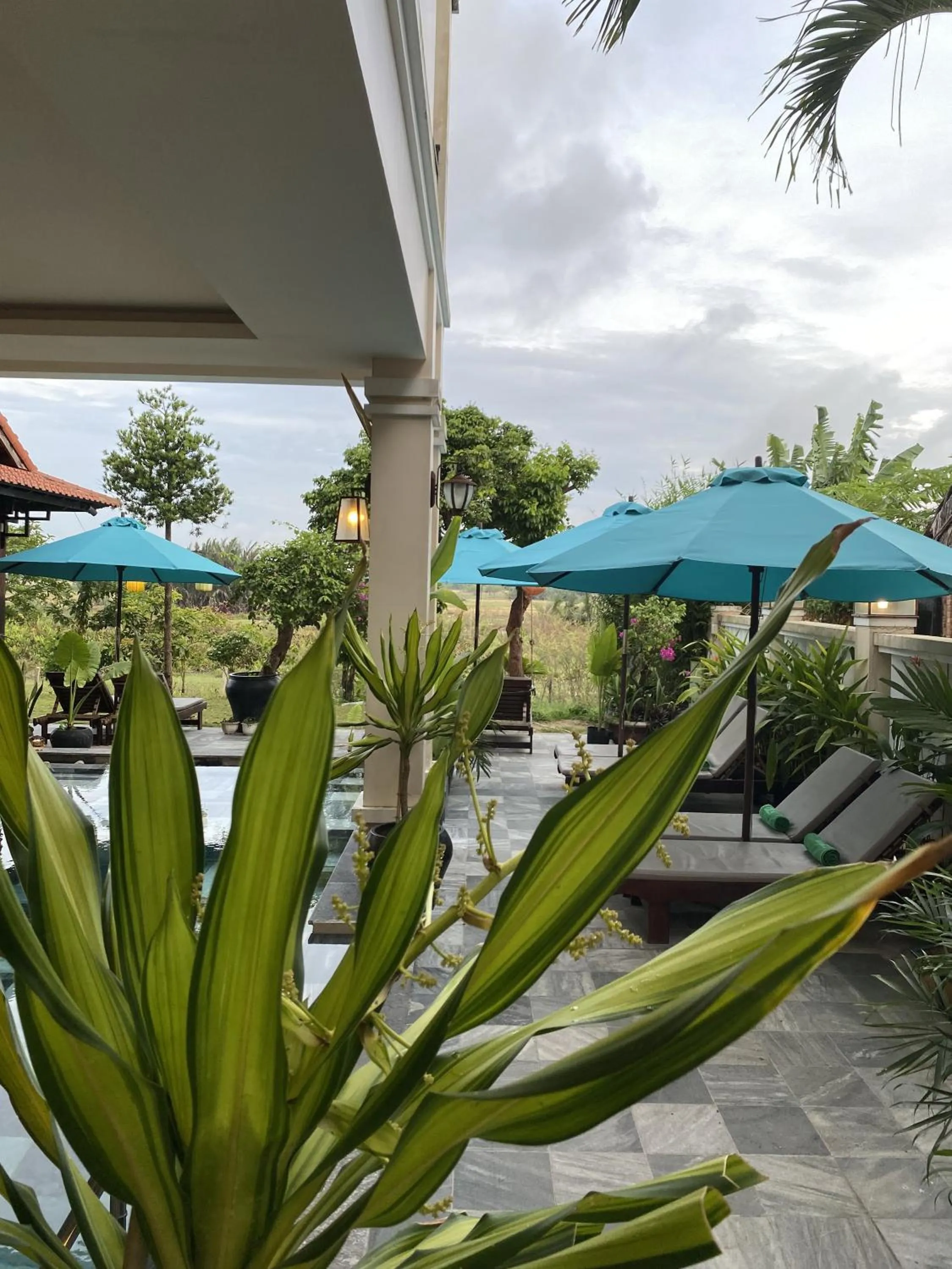 Swimming pool in The Quin Riverside Villa