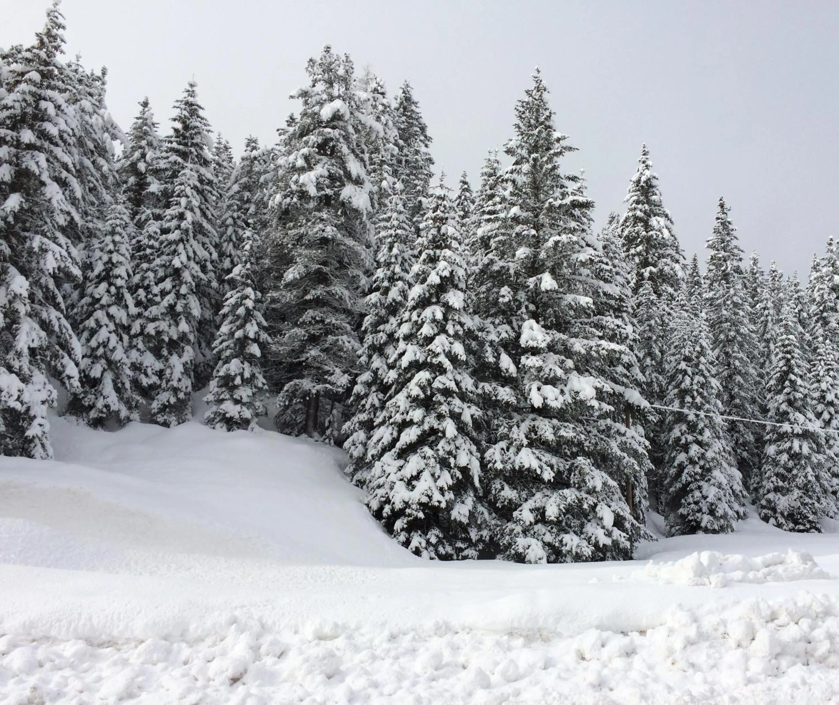 Winter in Rifugio Monti Pallidi