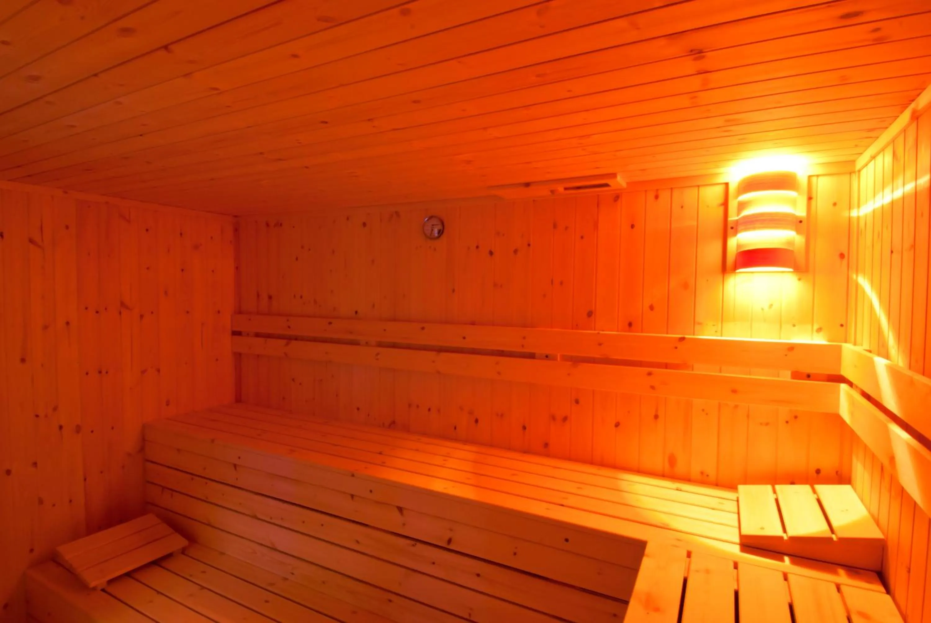 Sauna in Hotel Argentina & SPA