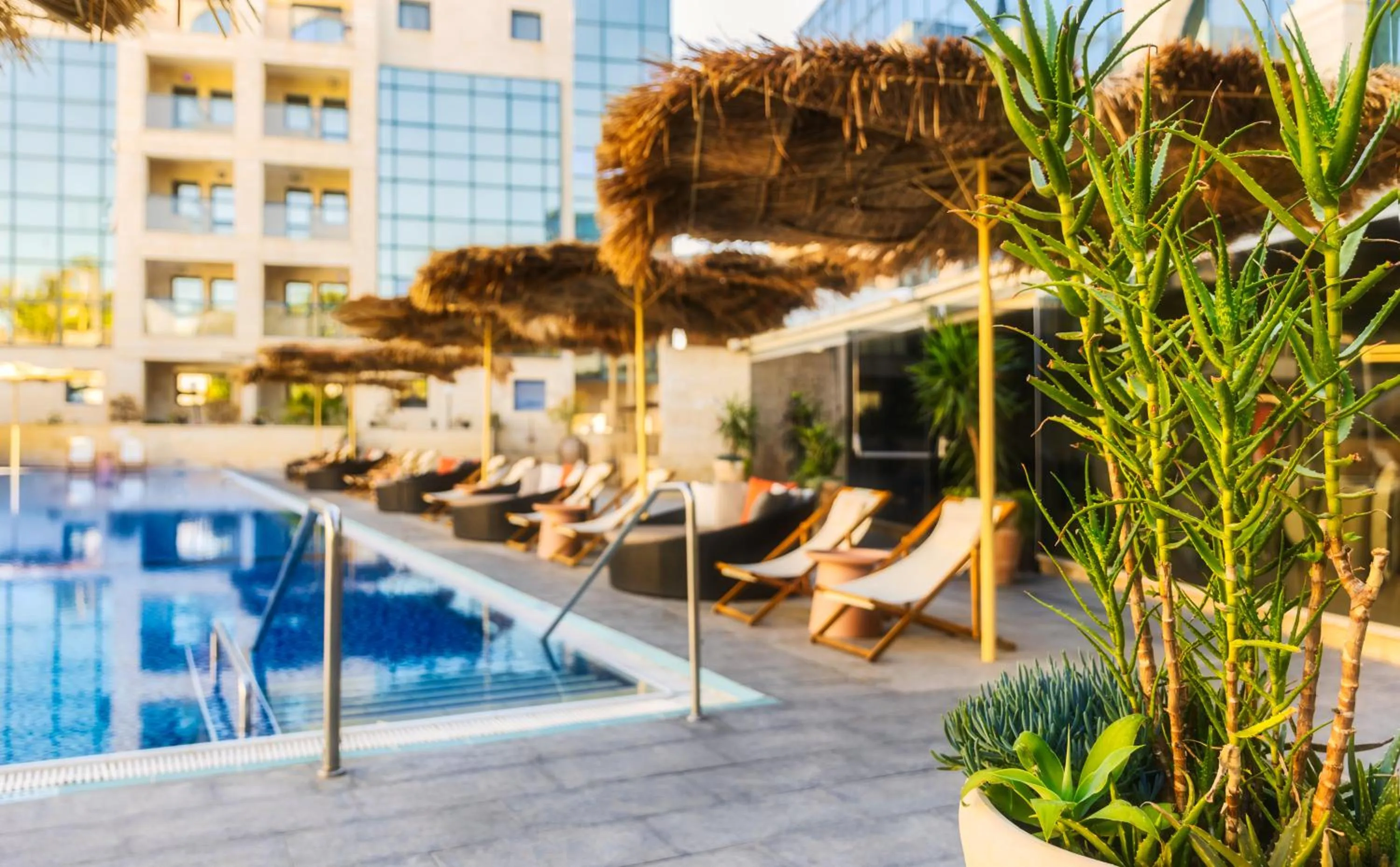 Swimming pool in Brown Red Sea