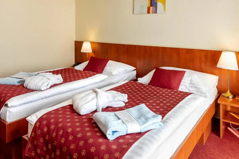 Photo of the whole room, Bed in Hotel Senec Aqua Resort - Family friendly