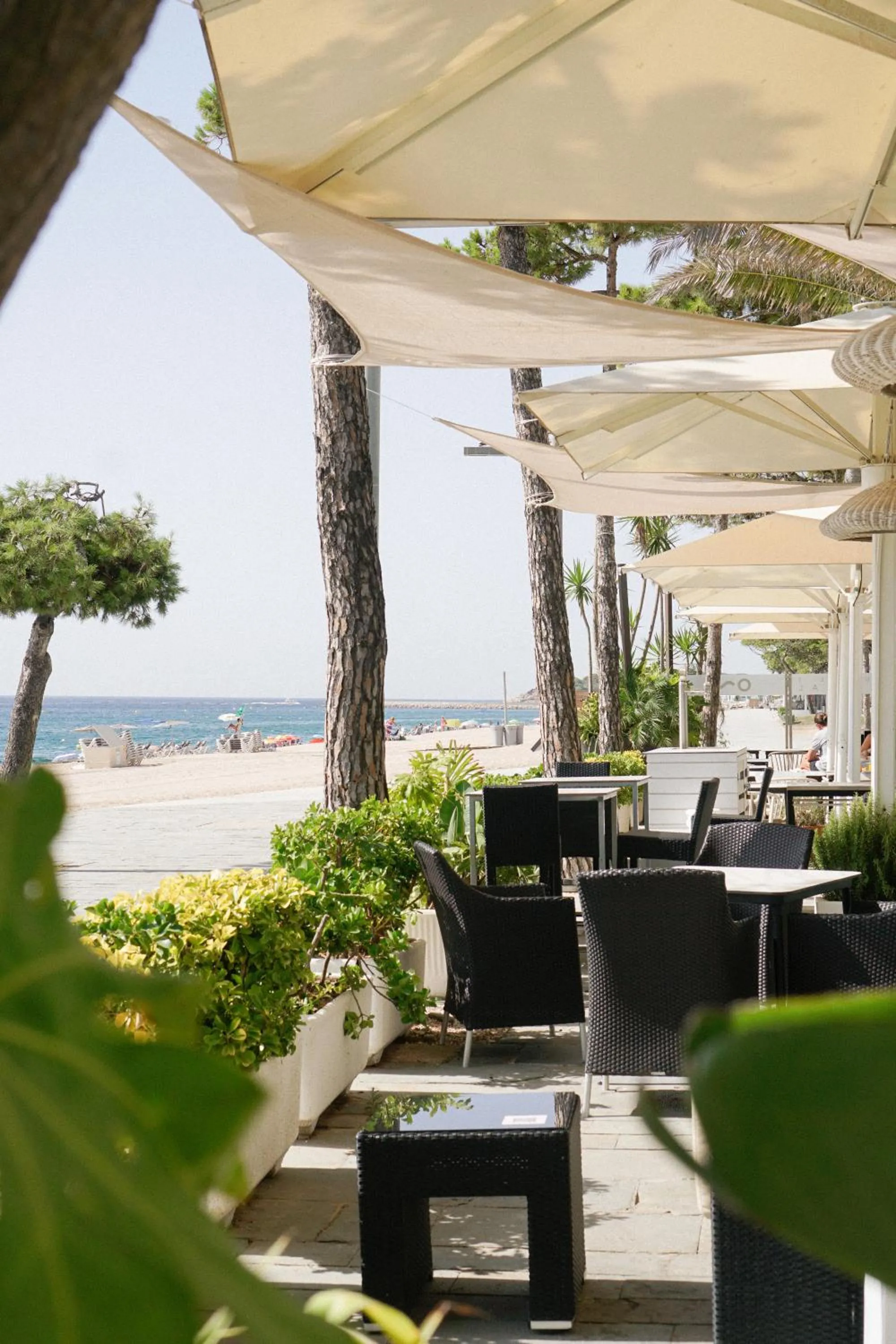 Restaurant/places to eat in Hotel Aromar