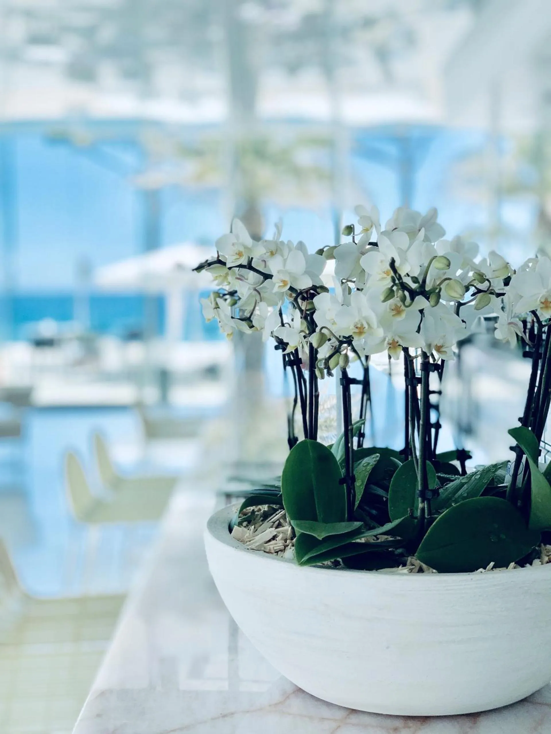 Lounge or bar in Hotel Aromar