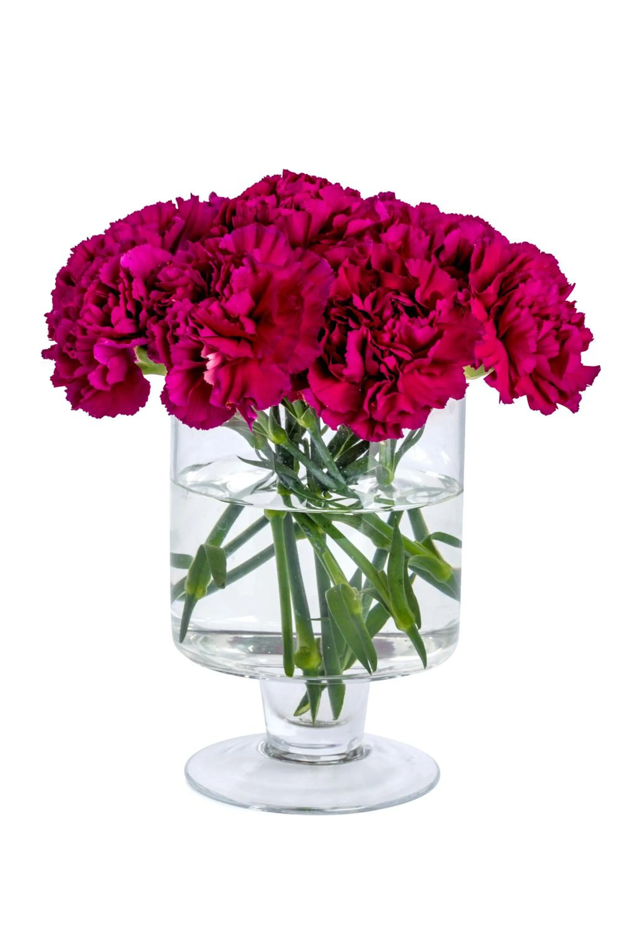 Restaurant/places to eat in Best Western Leto Arena