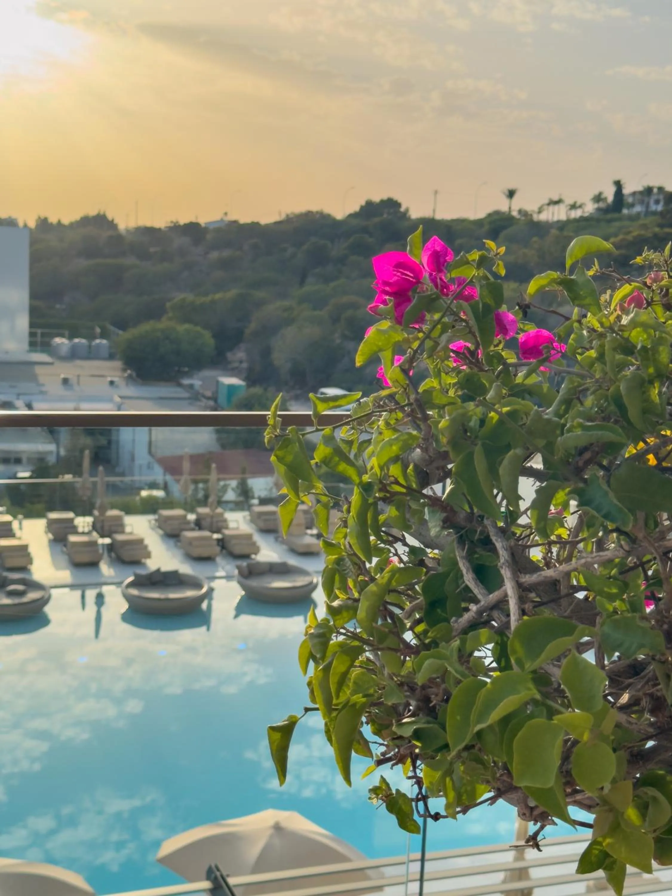Balcony/Terrace in Amarande (Adults Only)