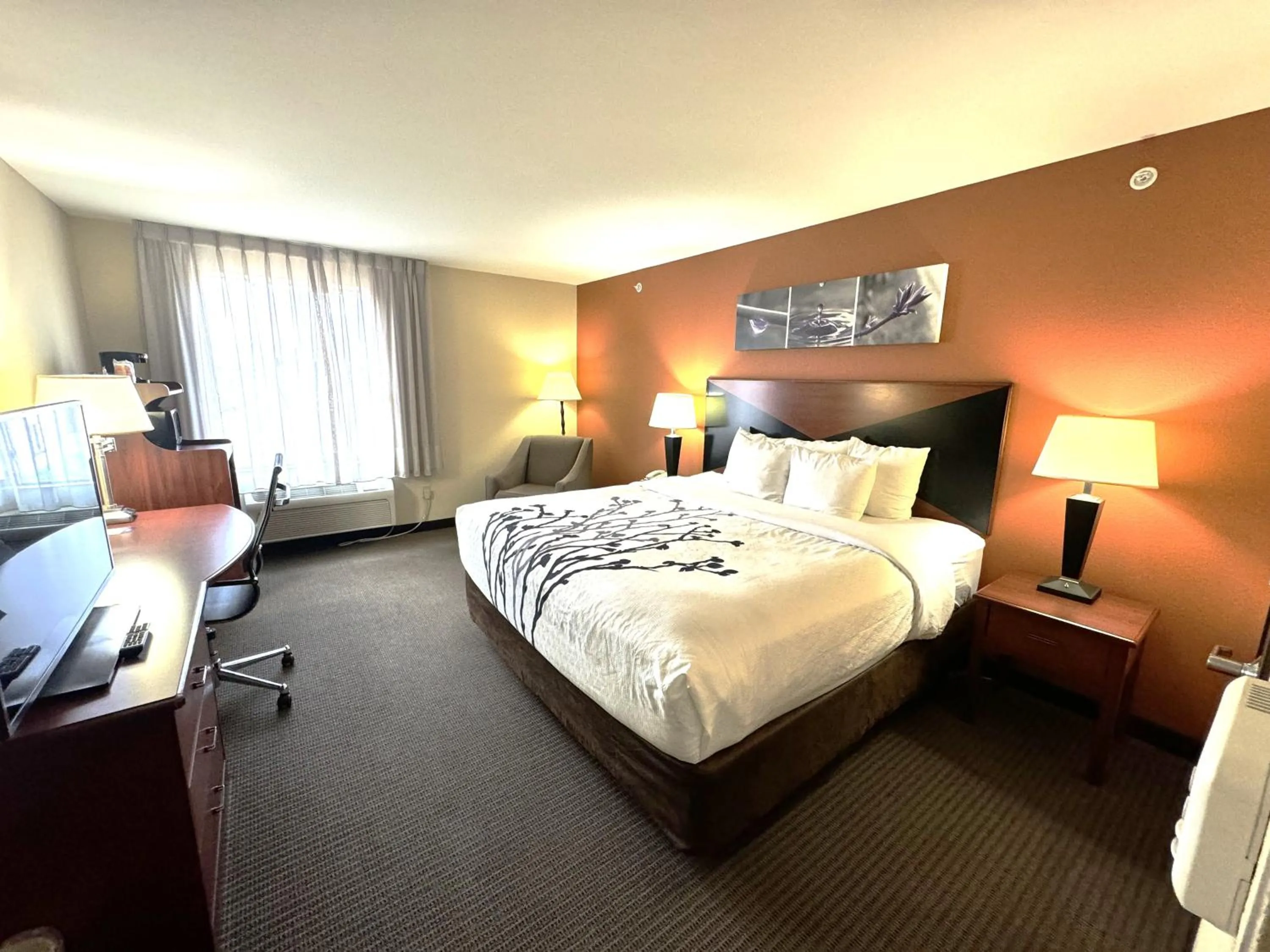 Bed in Sleep Inn & Suites Madison - Monona