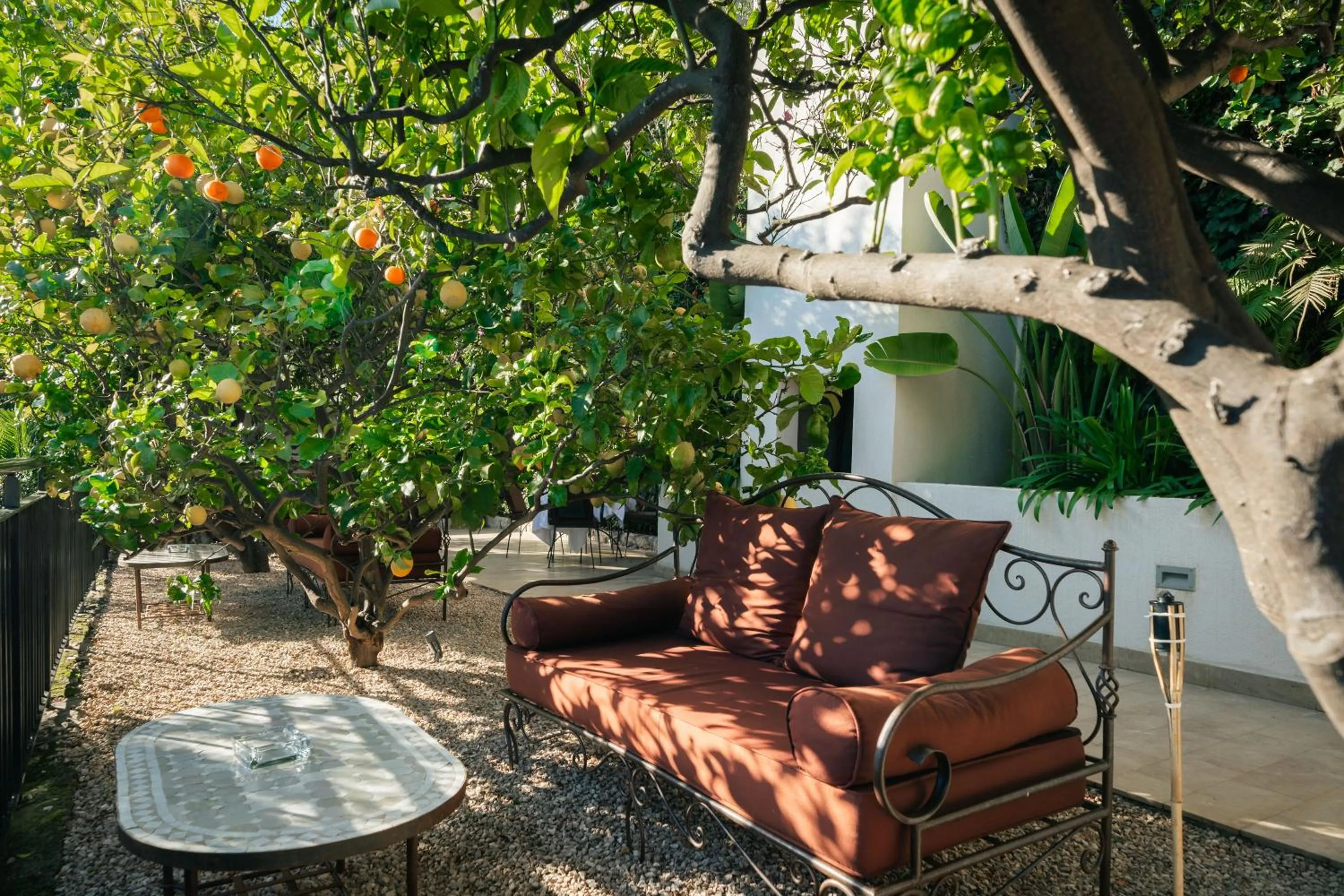 Garden in Hôtel Le Roquebrune