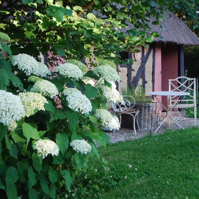 Garden in Bergerie de la Moutonnière