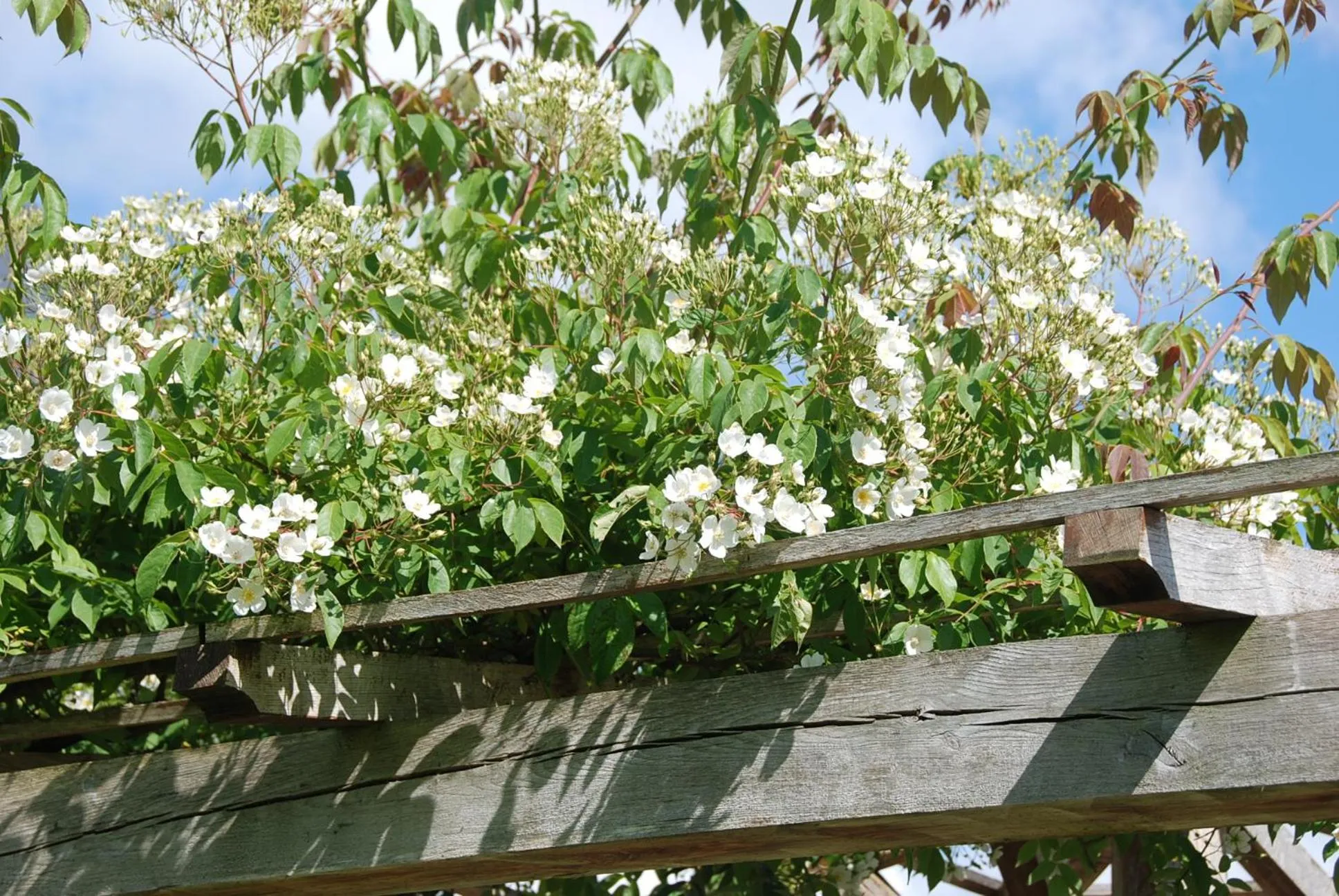 Garden view in Bergerie de la Moutonnière