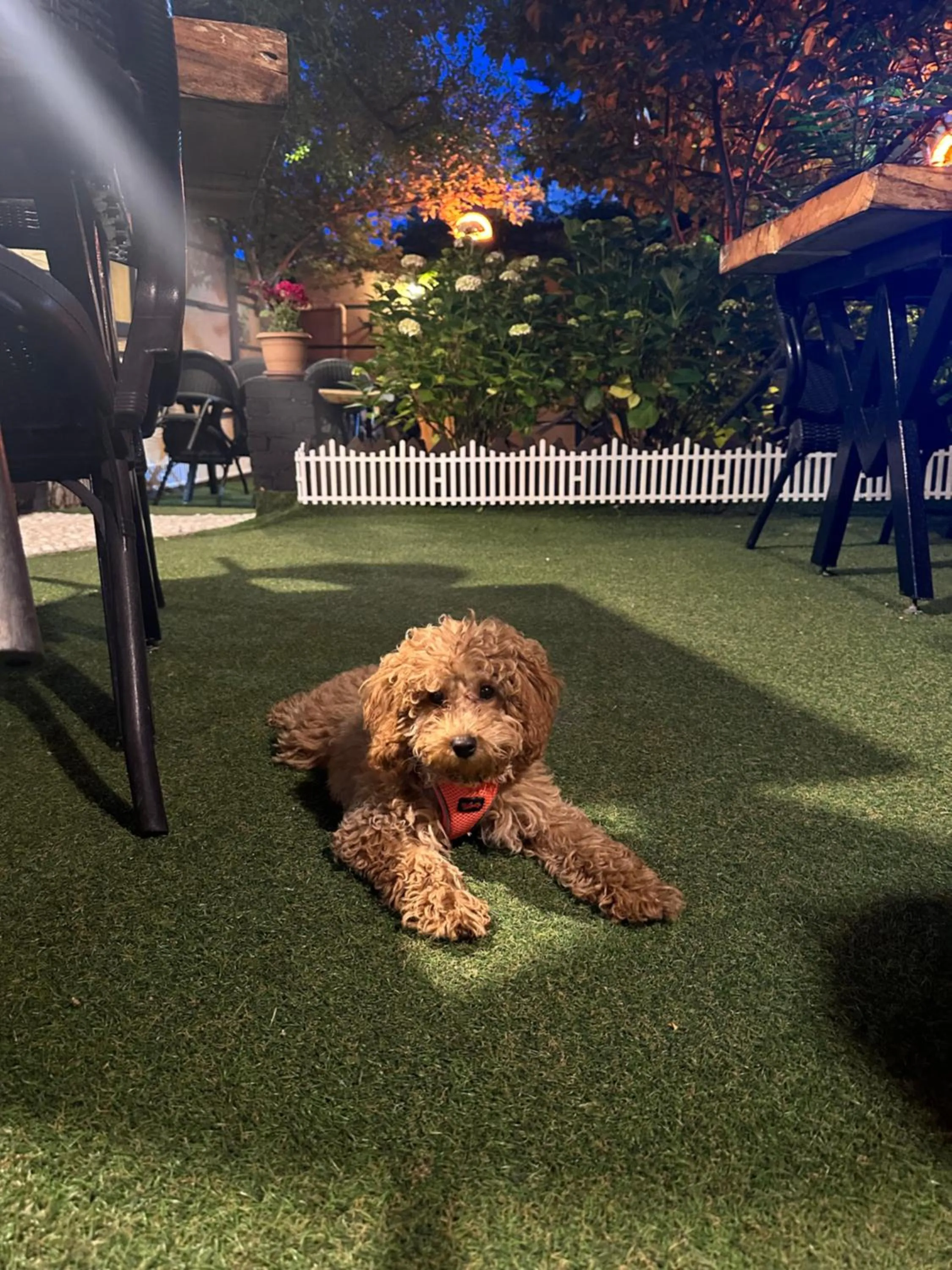 Night in Line Suite Hotel