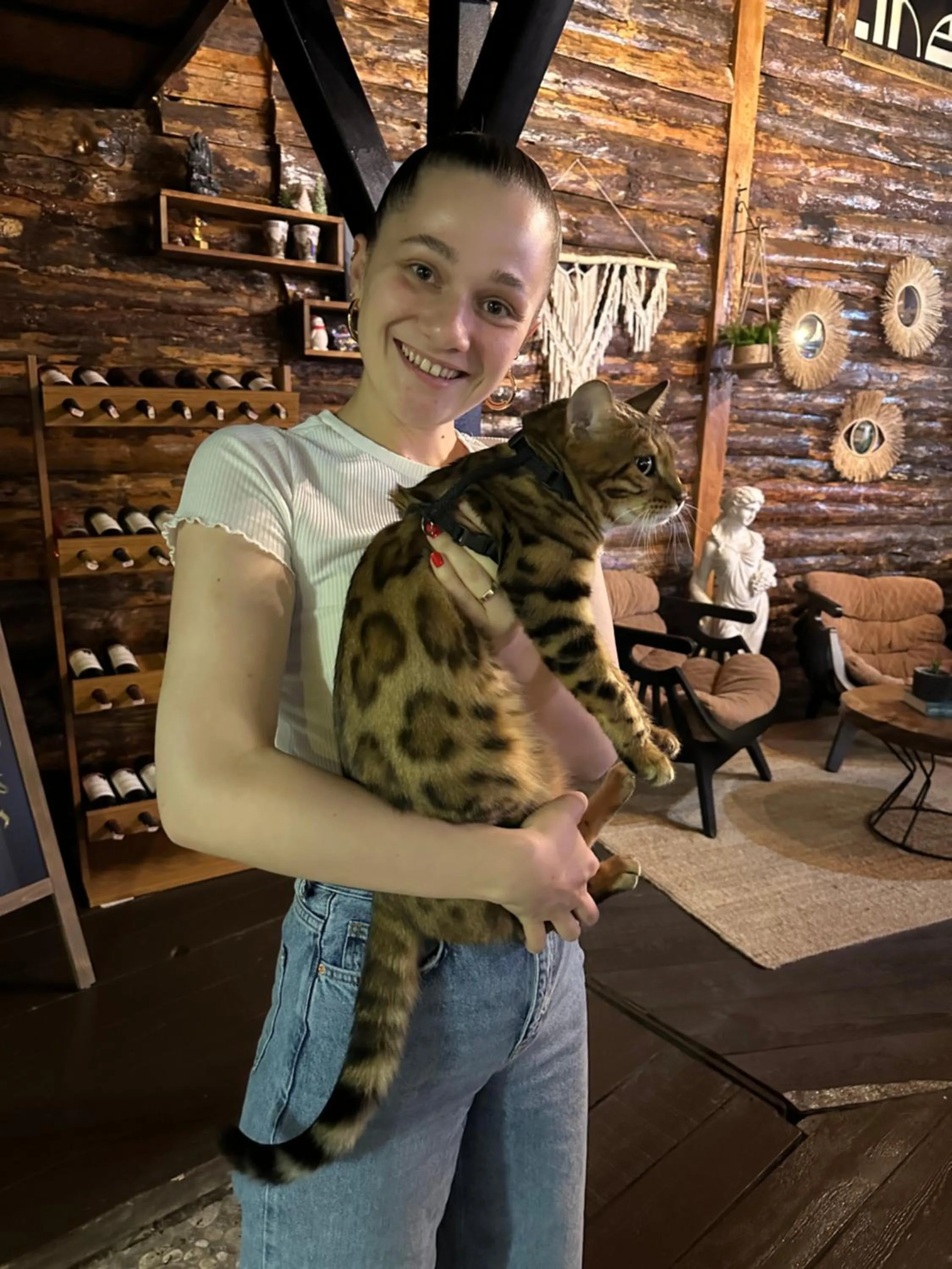 Pets in Line Suite Hotel