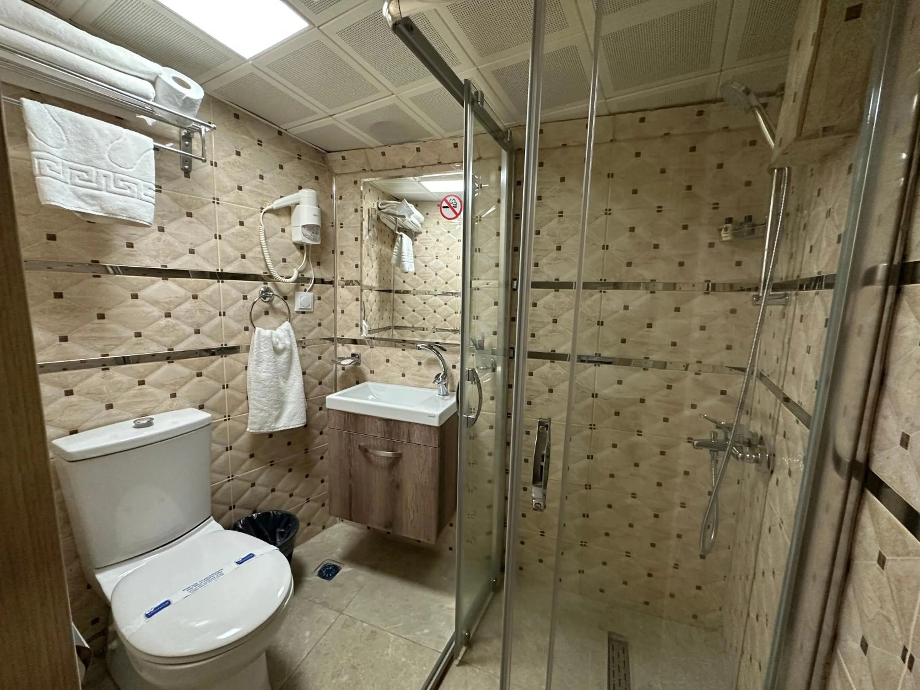 Shower in Line Suite Hotel