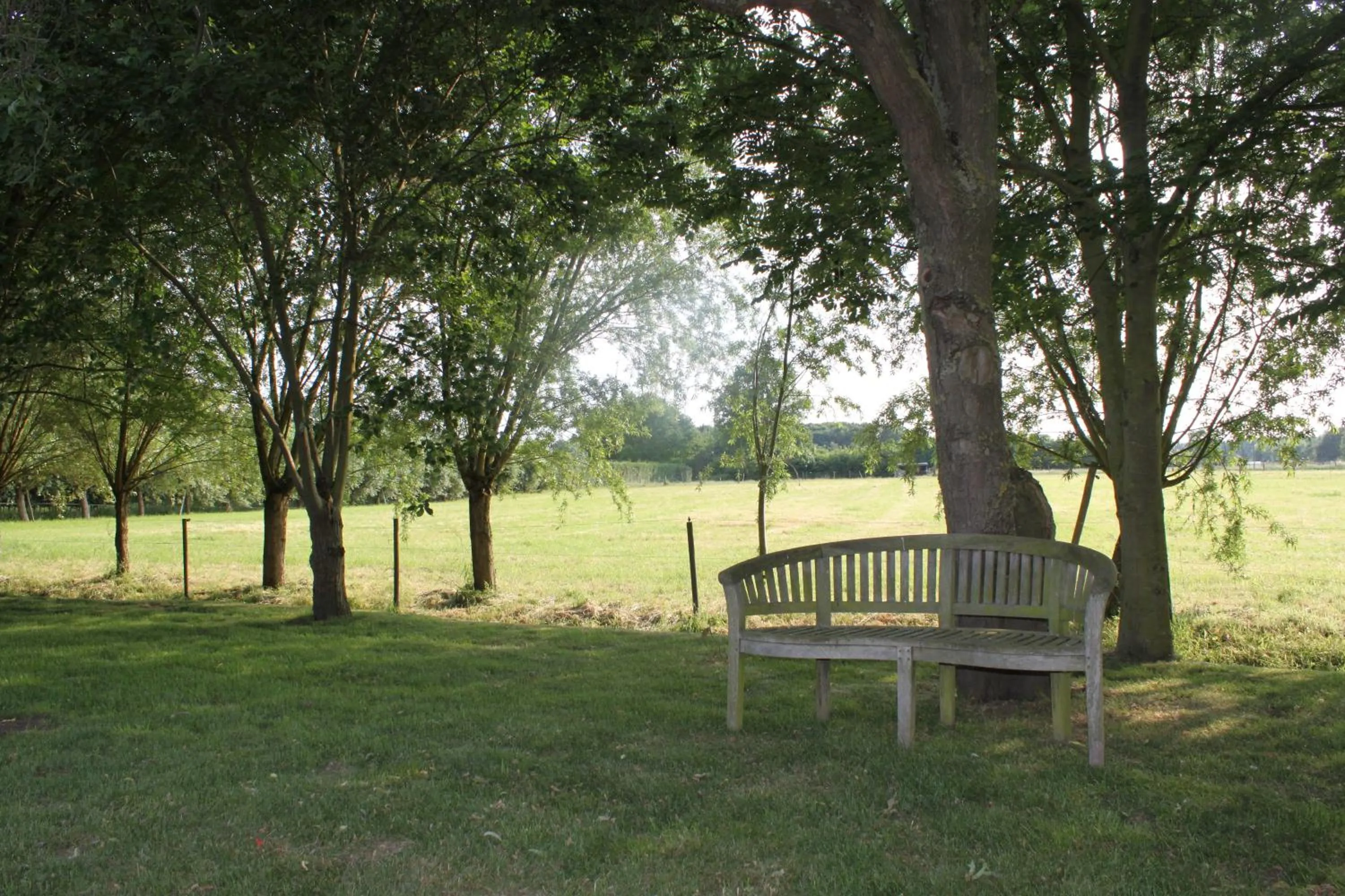 Garden in B&B 't Hoogste